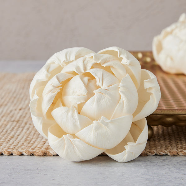 Sola Wood Flower Luxe Collection - Oh! You're Lovely - Sola Wood