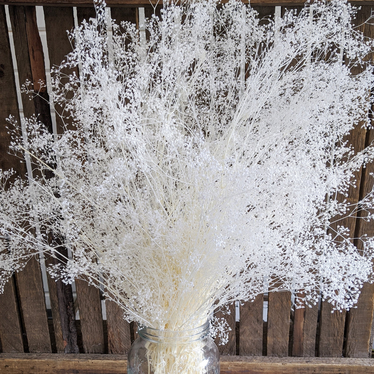 Mini Gyp-Bleached _sola_wood_flowers