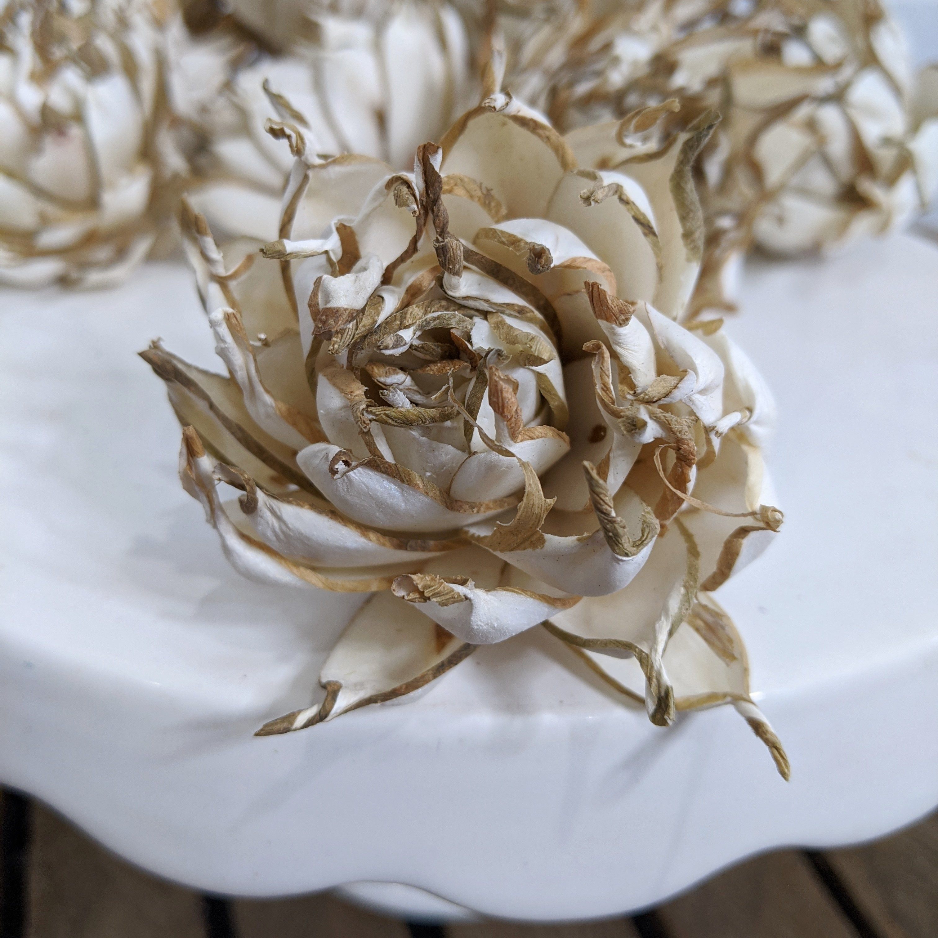 Artichoke aka Artie - set of 12-  2.5 inches _sola_wood_flowers