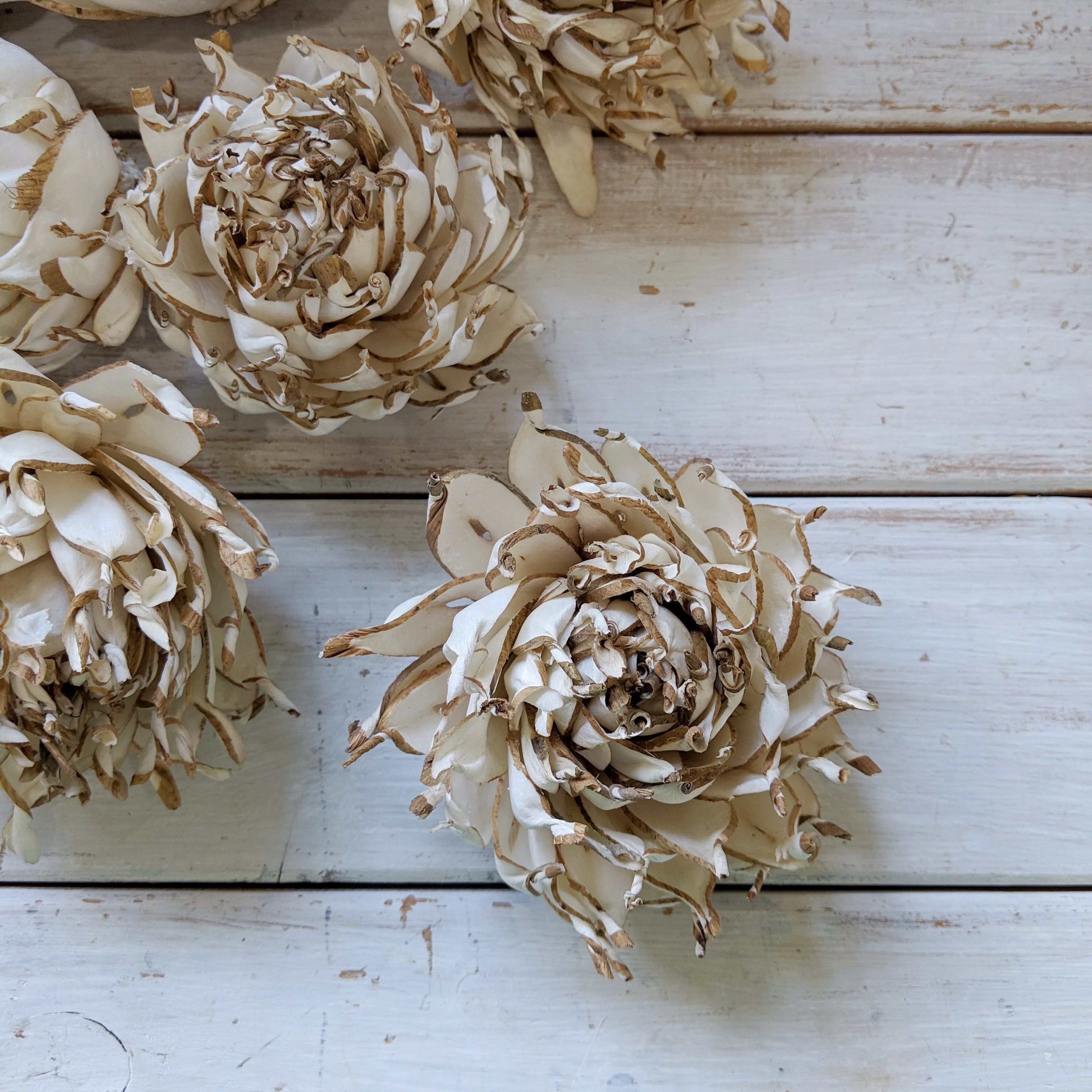 Artichoke aka Artie - set of 12-  3 inches _sola_wood_flowers