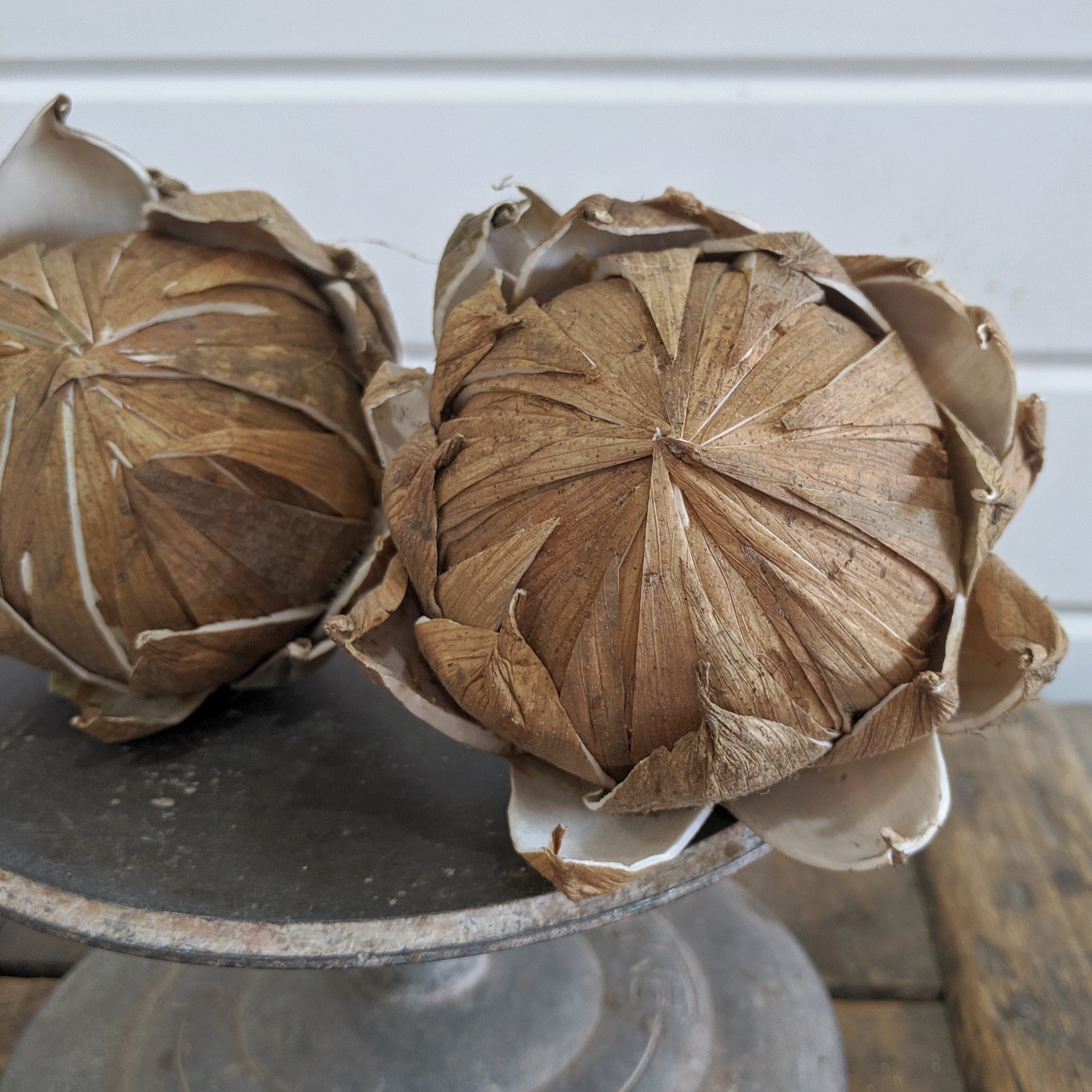 Bark Protea Flower _sola_wood_flowers