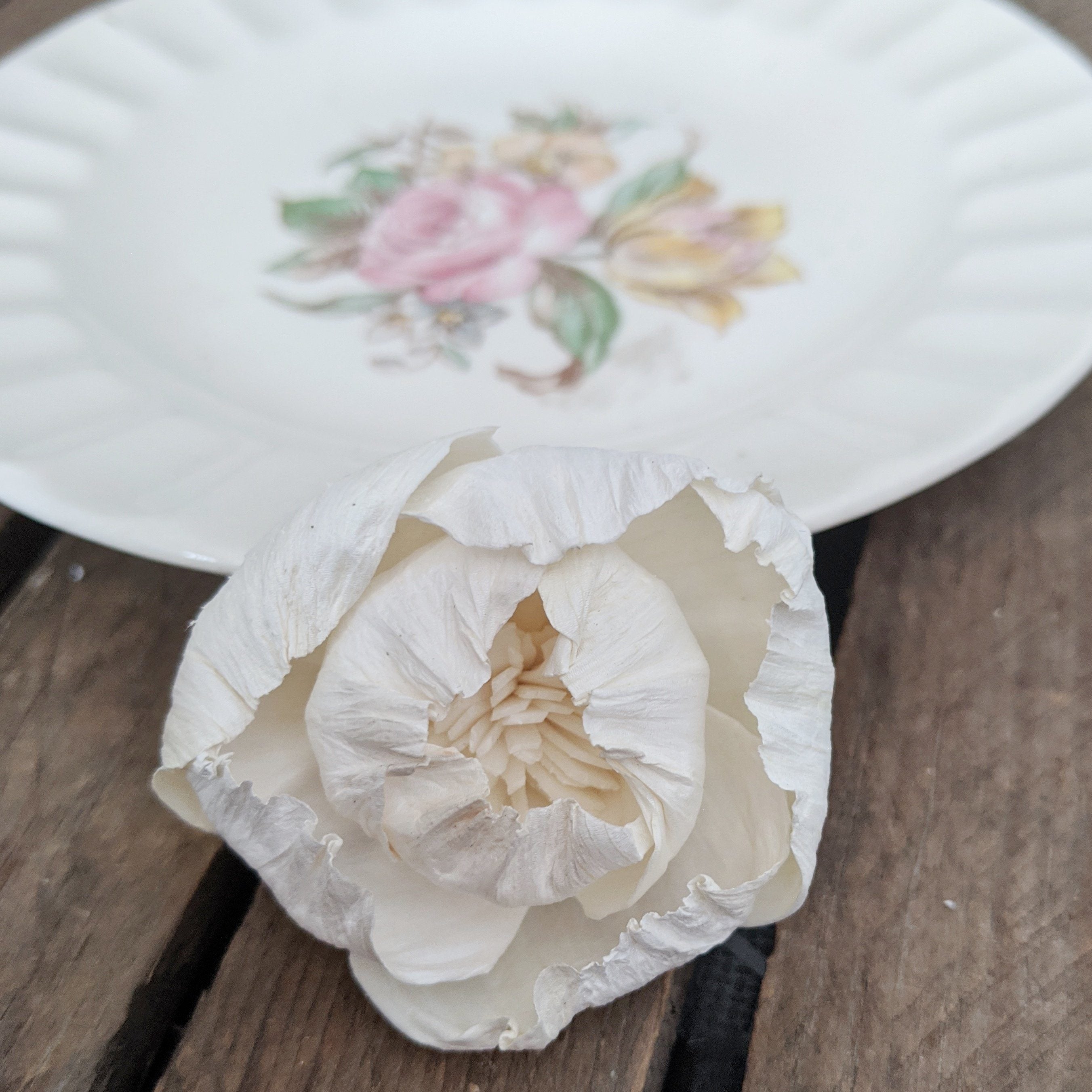 Belle™- set of 12 - 2.5 inches _sola_wood_flowers