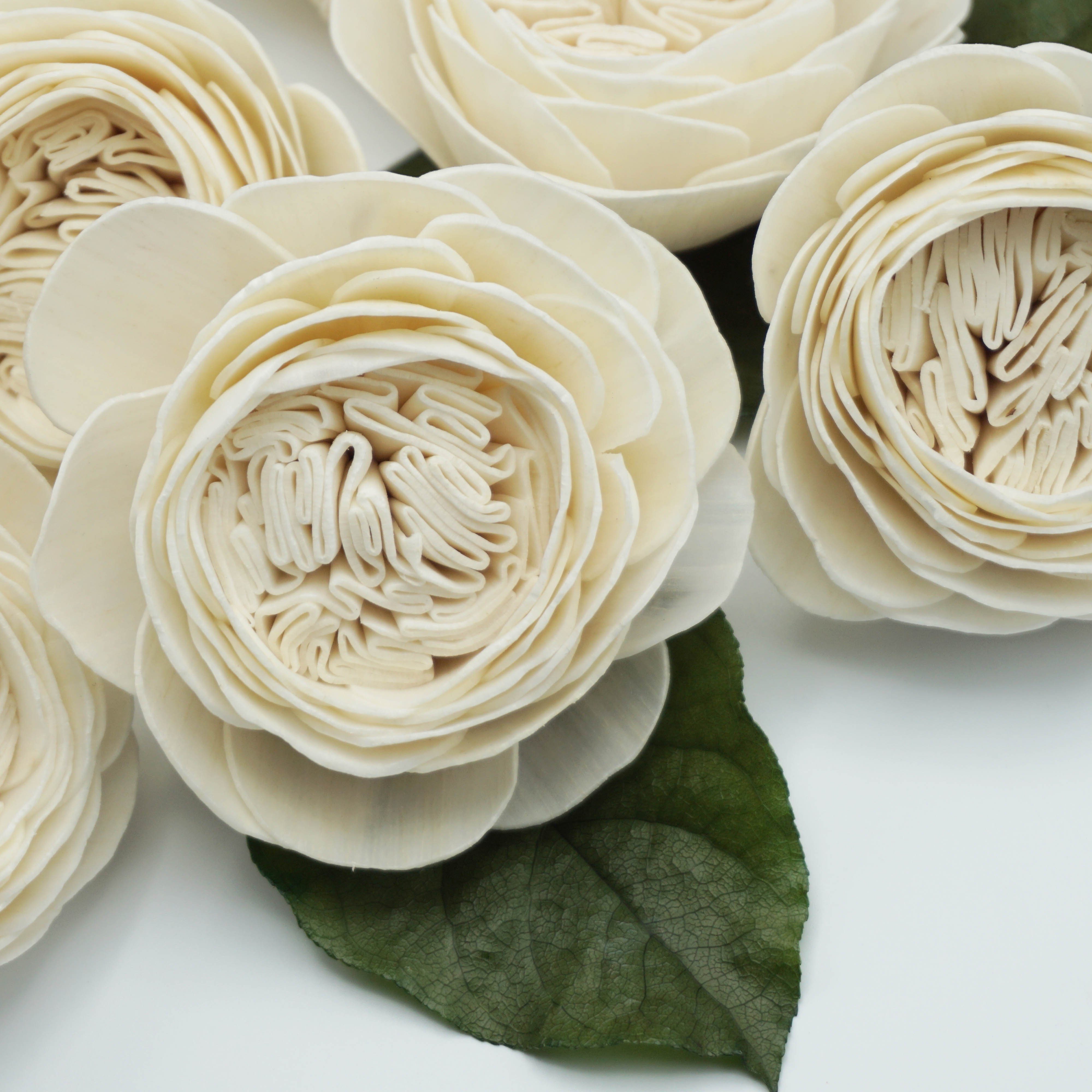 Cabbage Rose  - set of 12-  3 inches _sola_wood_flowers