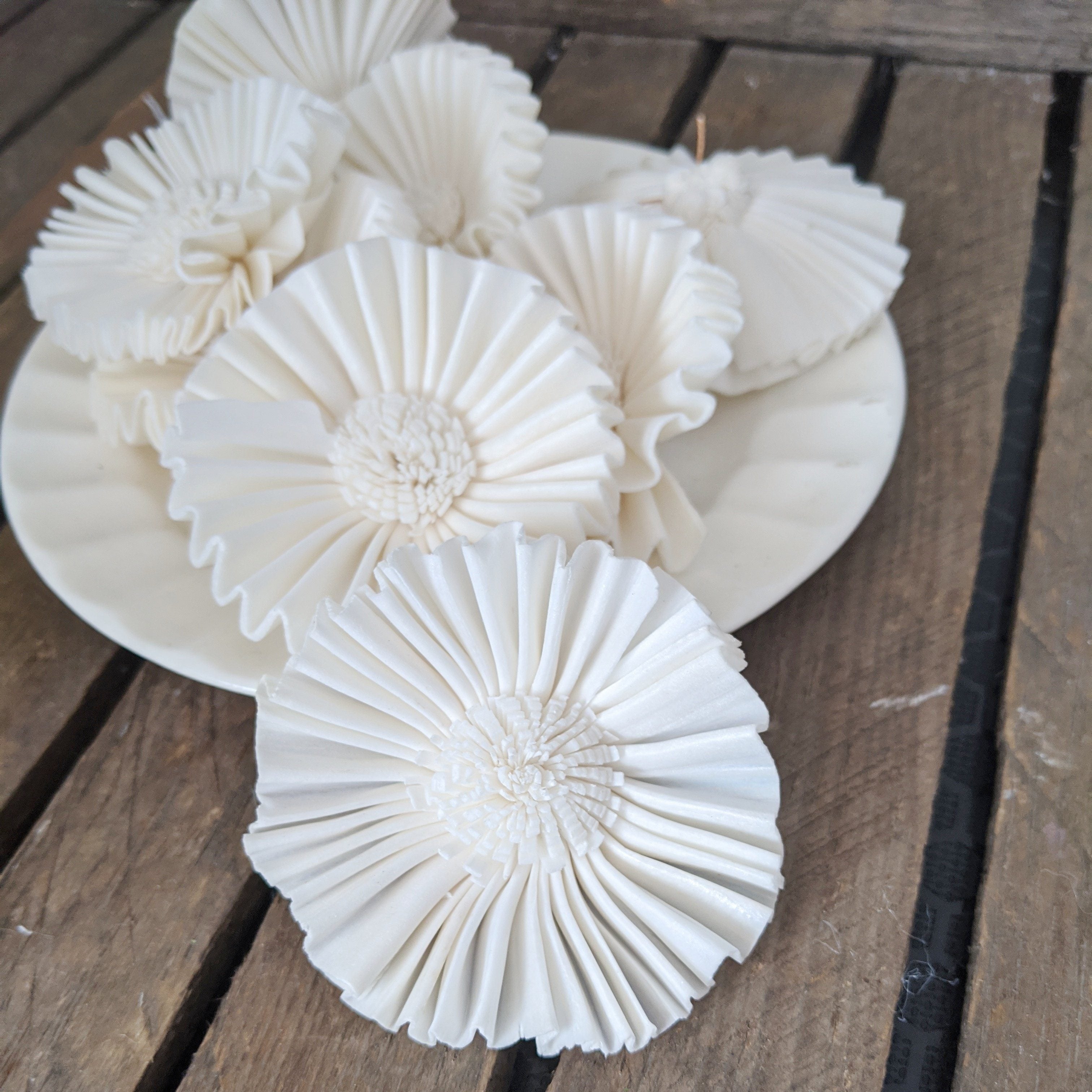 Fanny™- set of 12-  2.5 inches _sola_wood_flowers
