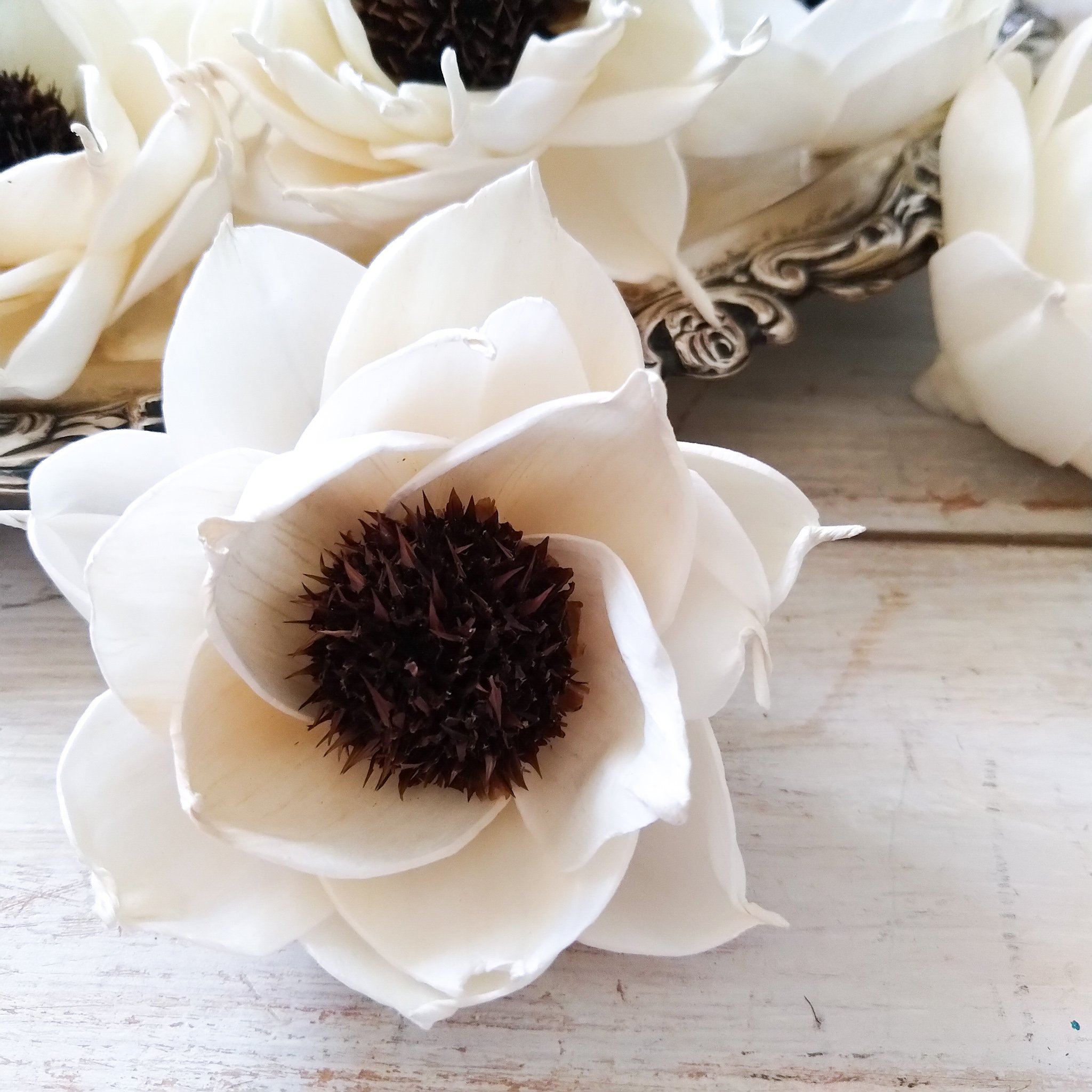 Frida™- set of 12-  3 inches _sola_wood_flowers