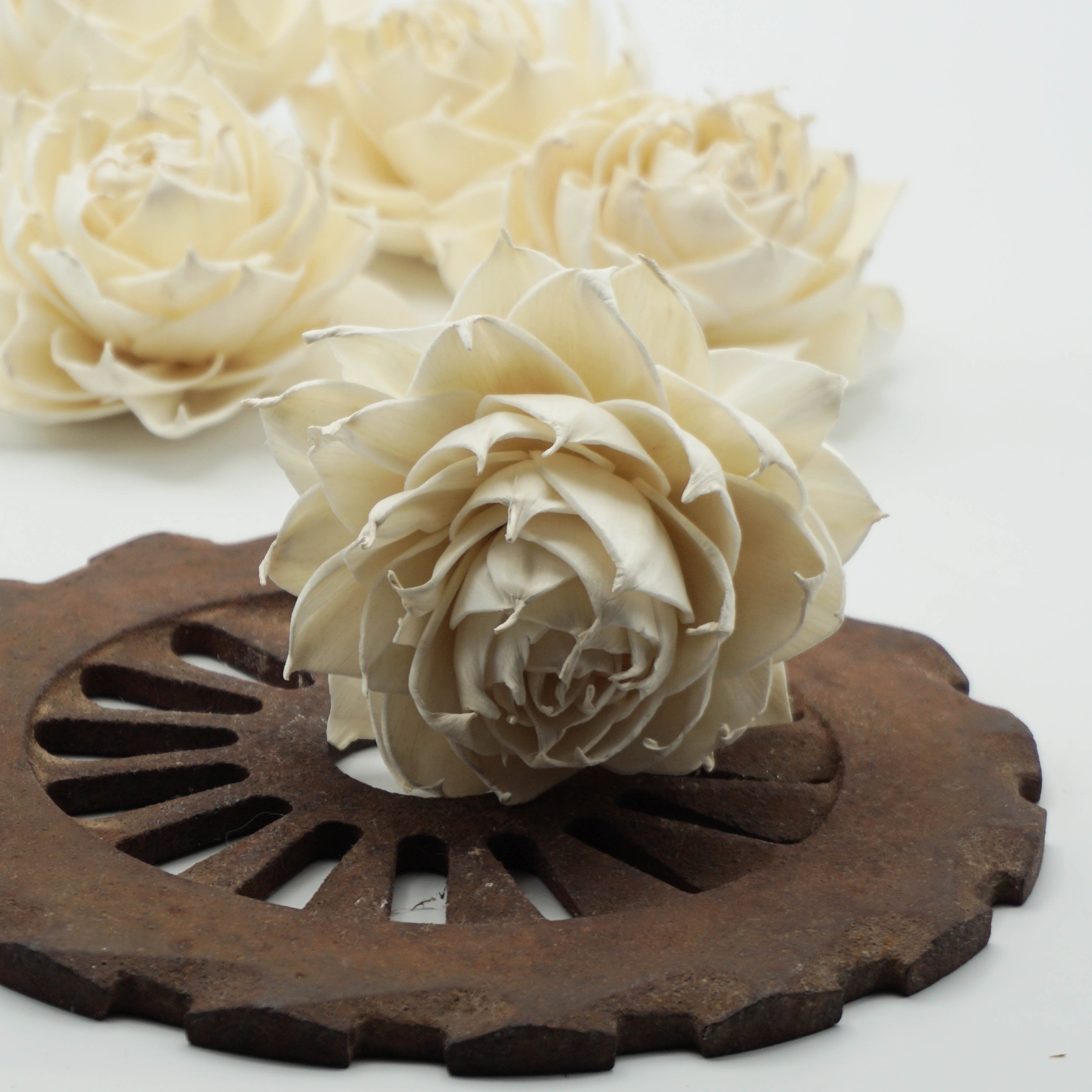 Garden Rose™- set of 12- 3 inches _sola_wood_flowers
