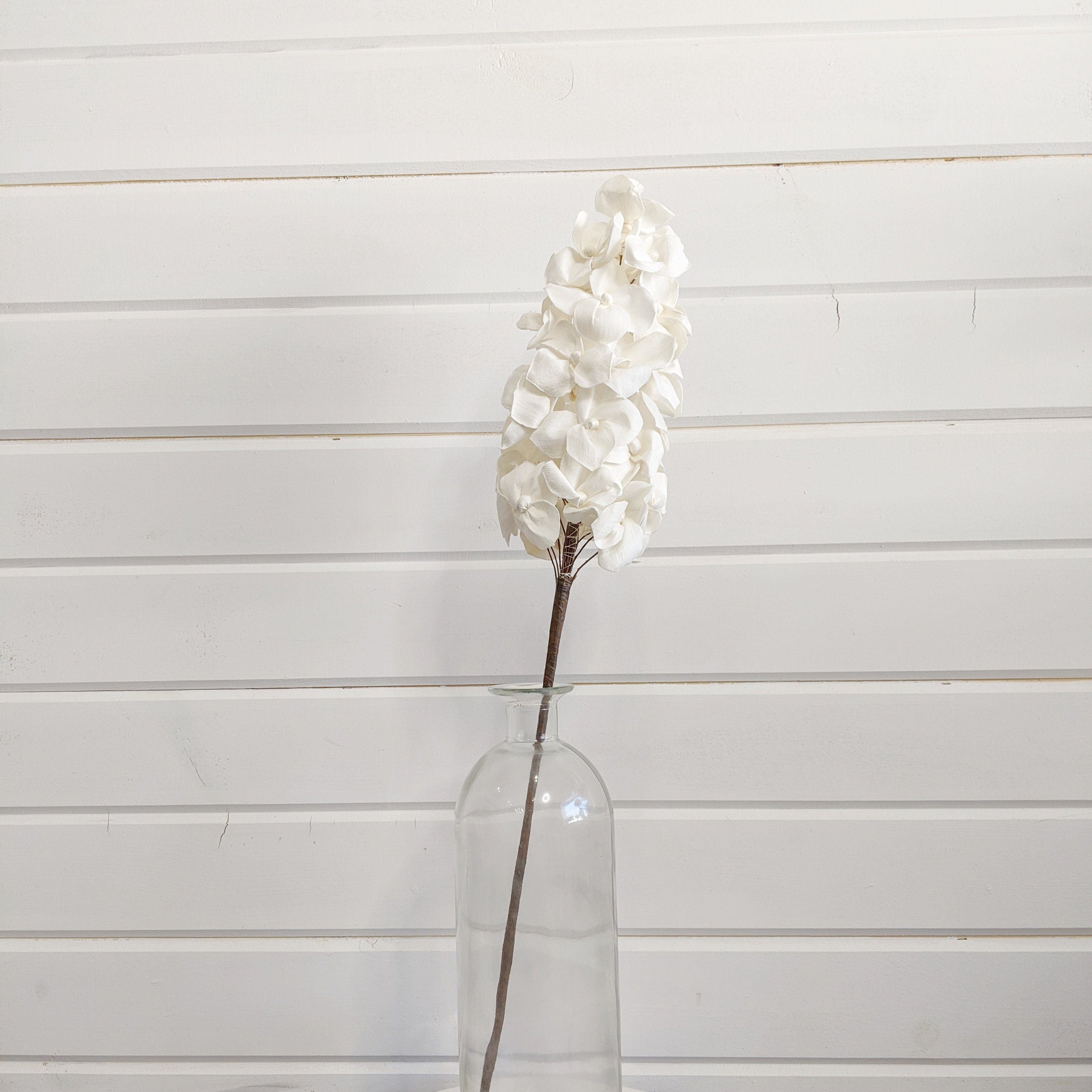 Gatsby Moon- cone hydrangea-  sold individually _sola_wood_flowers