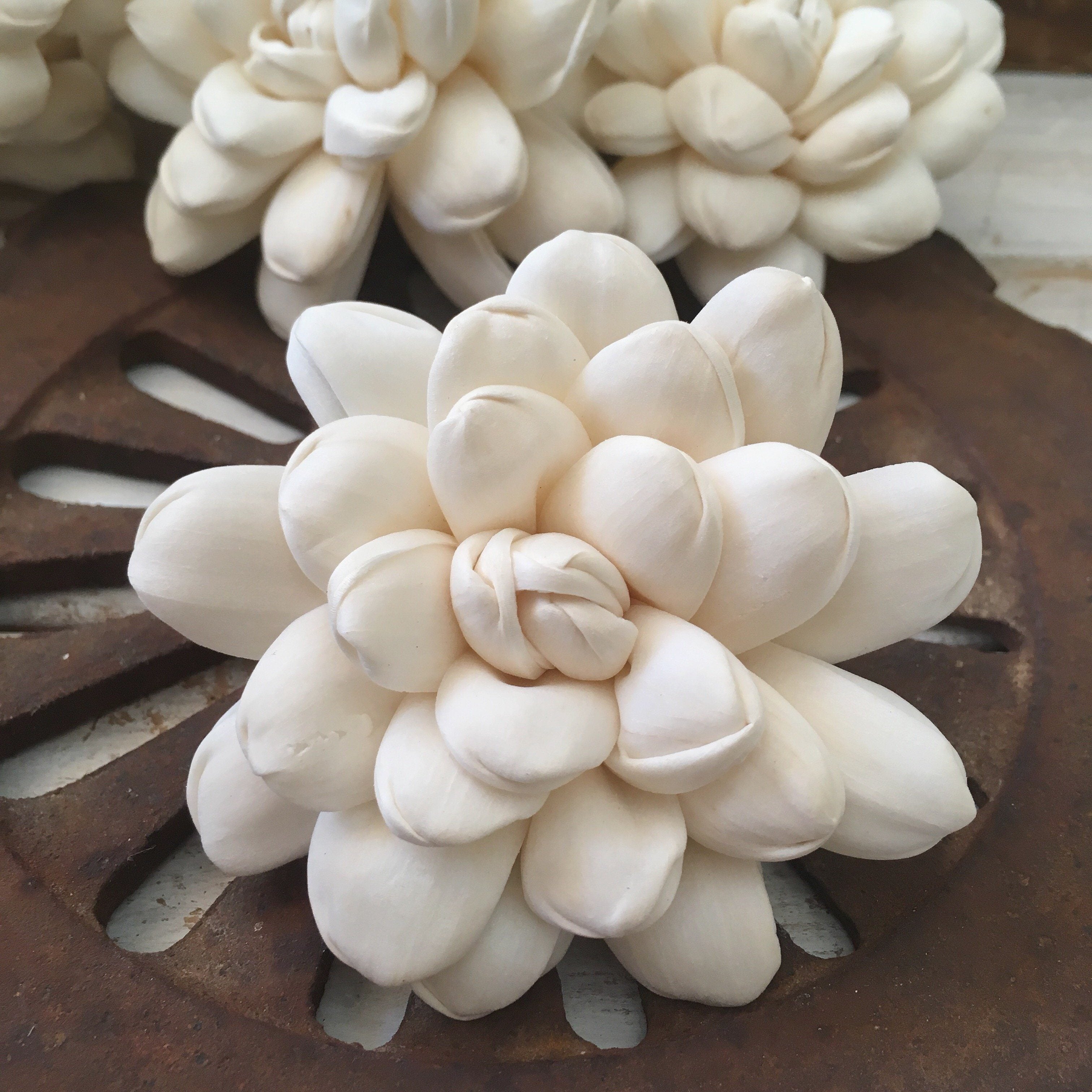 Halo™ Flower  - set of 12- 2.5 inches _sola_wood_flowers