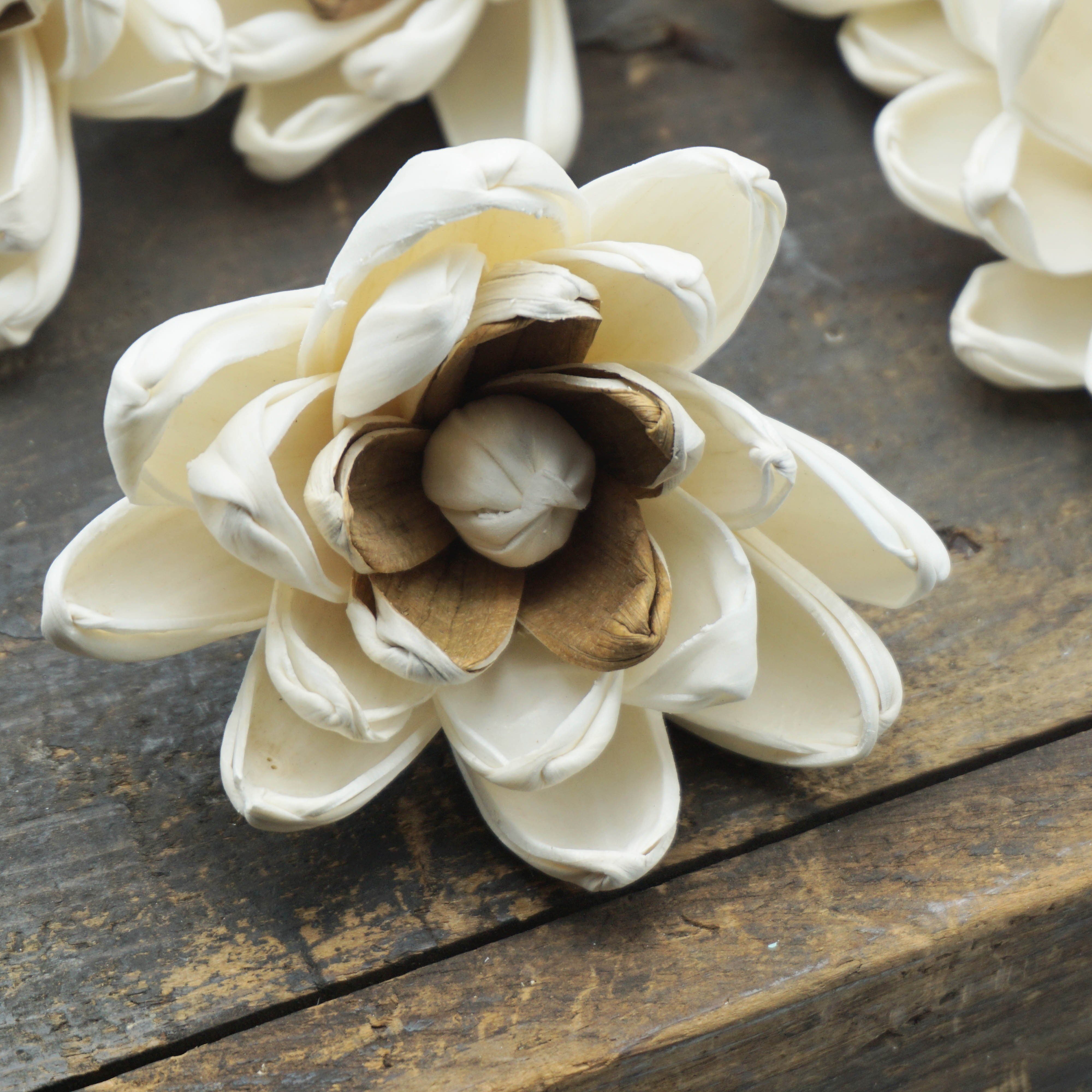 Hazel™ Flower  - set of 12- 3 inches _sola_wood_flowers