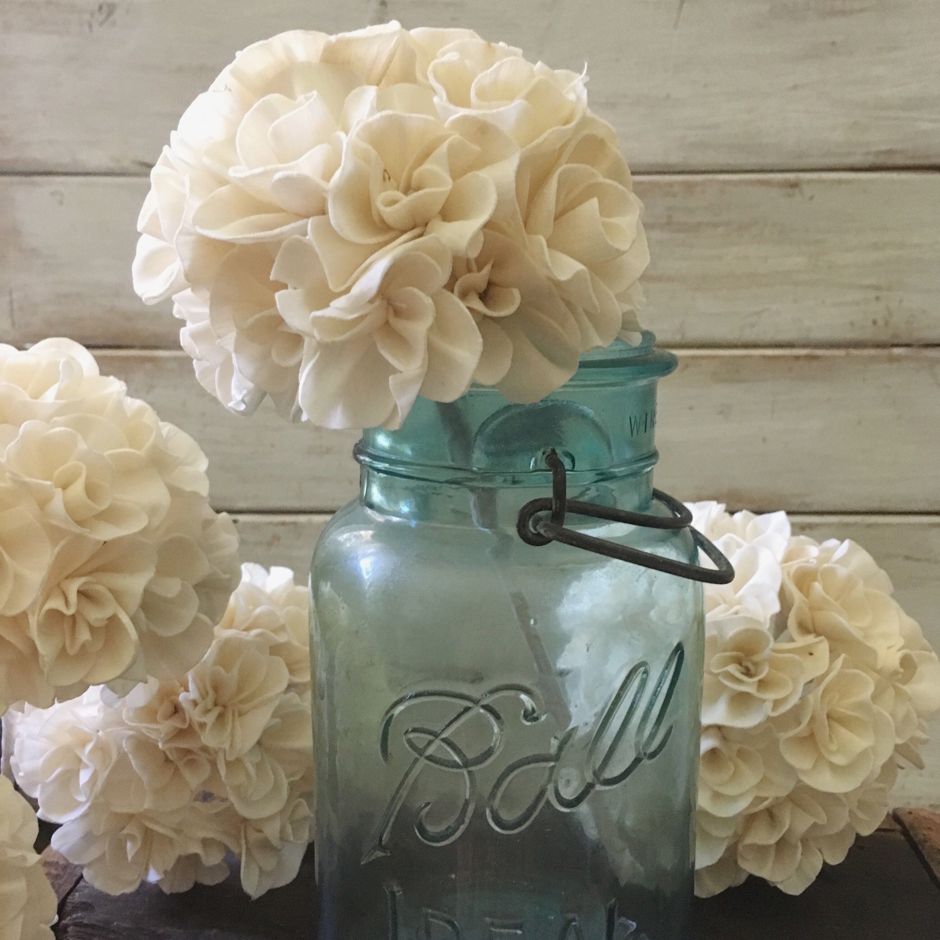 Hydrangea _sola_wood_flowers