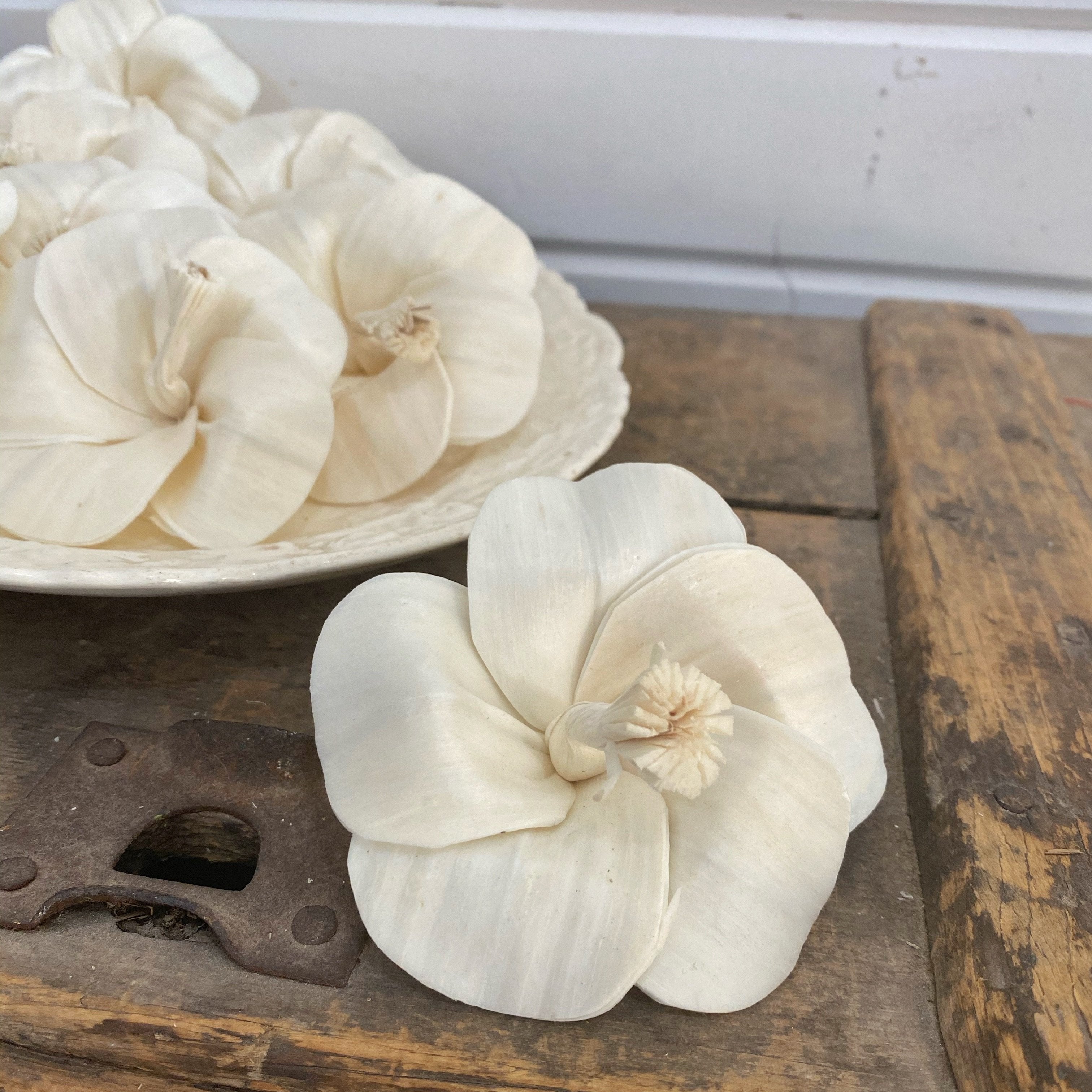 Hibiscus - set of 12 - 3 inches _sola_wood_flowers