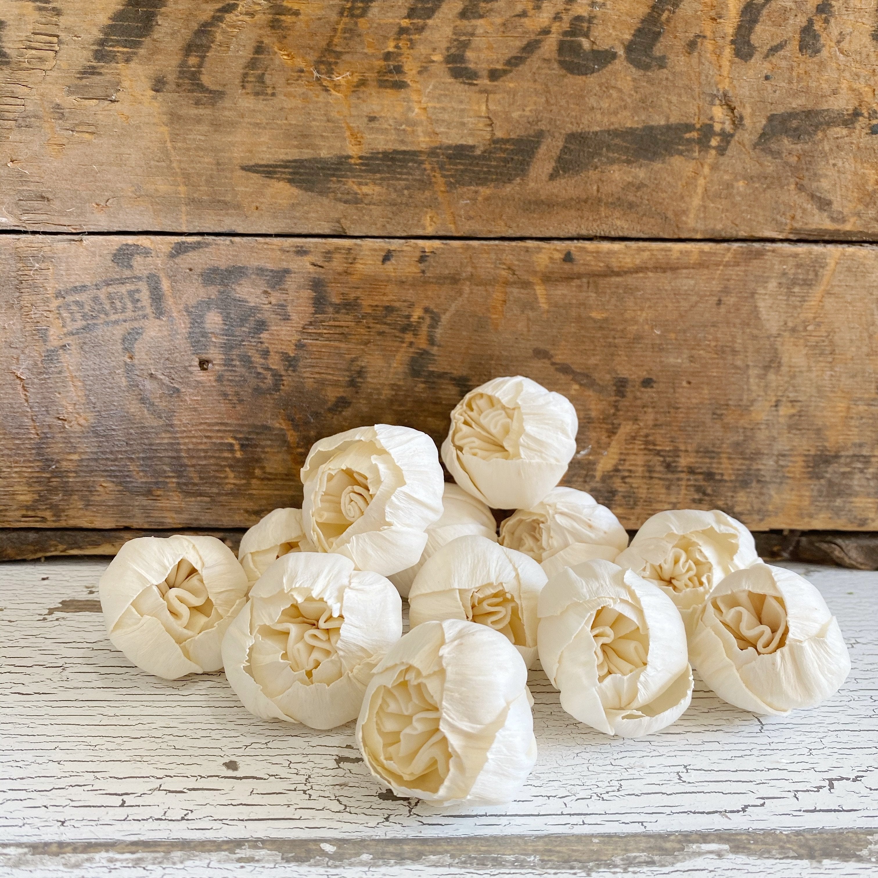 Cottage Rose Buds™- Set of 12 _sola_wood_flowers