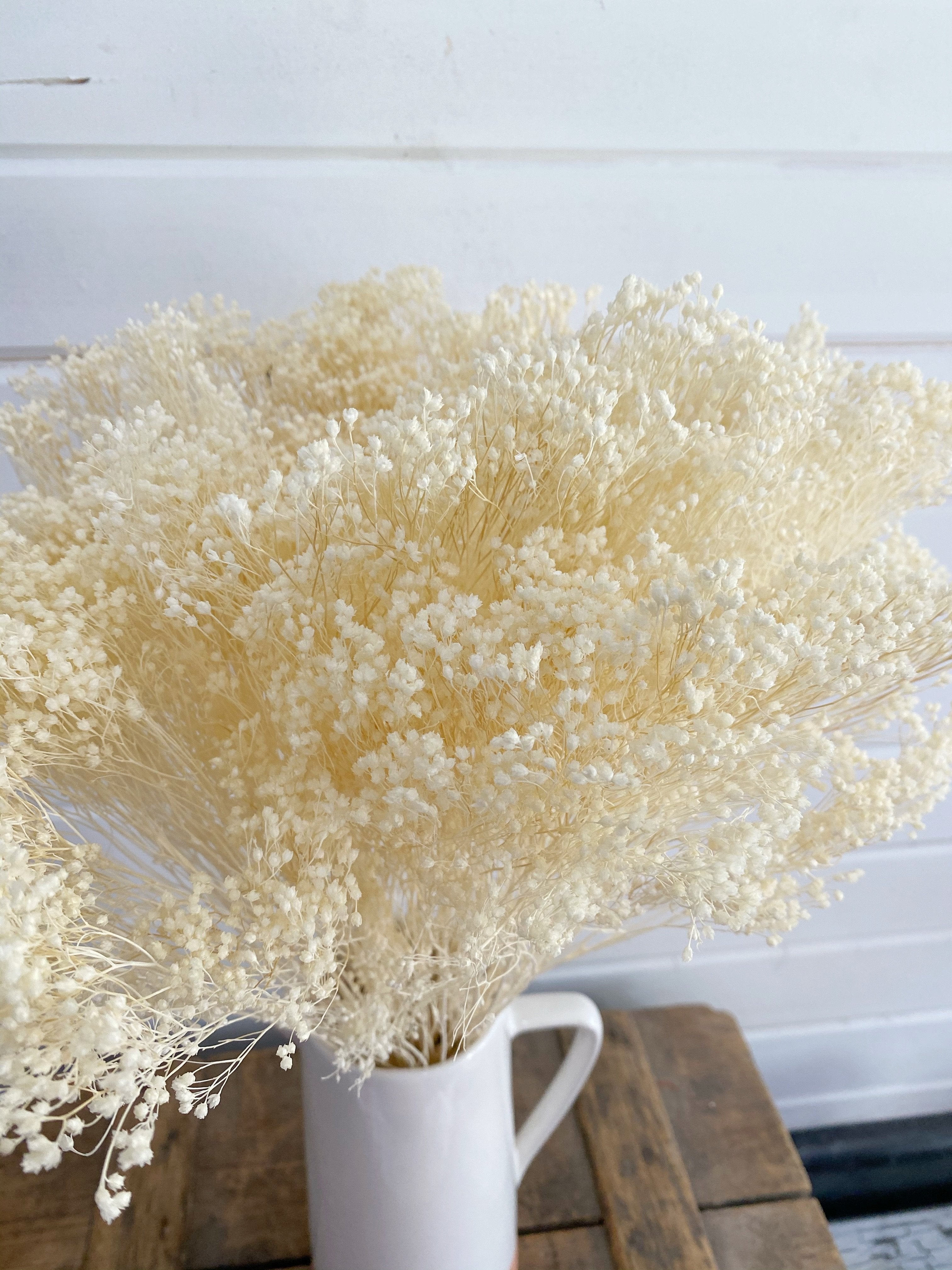 Broom Bloom - Bleached _sola_wood_flowers