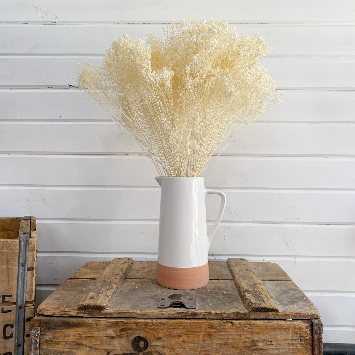 Broom Bloom - Bleached _sola_wood_flowers