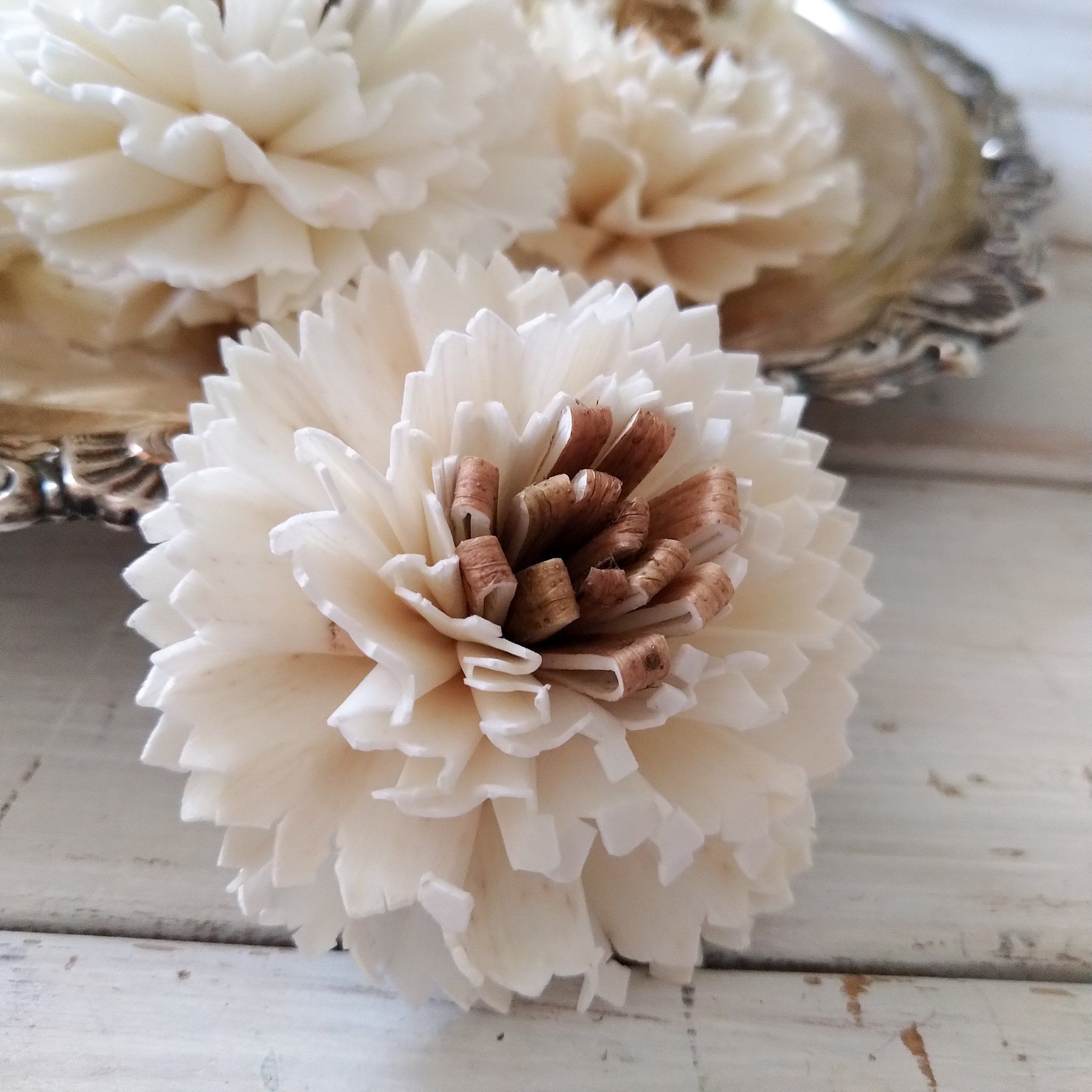 Latte™ - set of 12-  2.5 inches _sola_wood_flowers