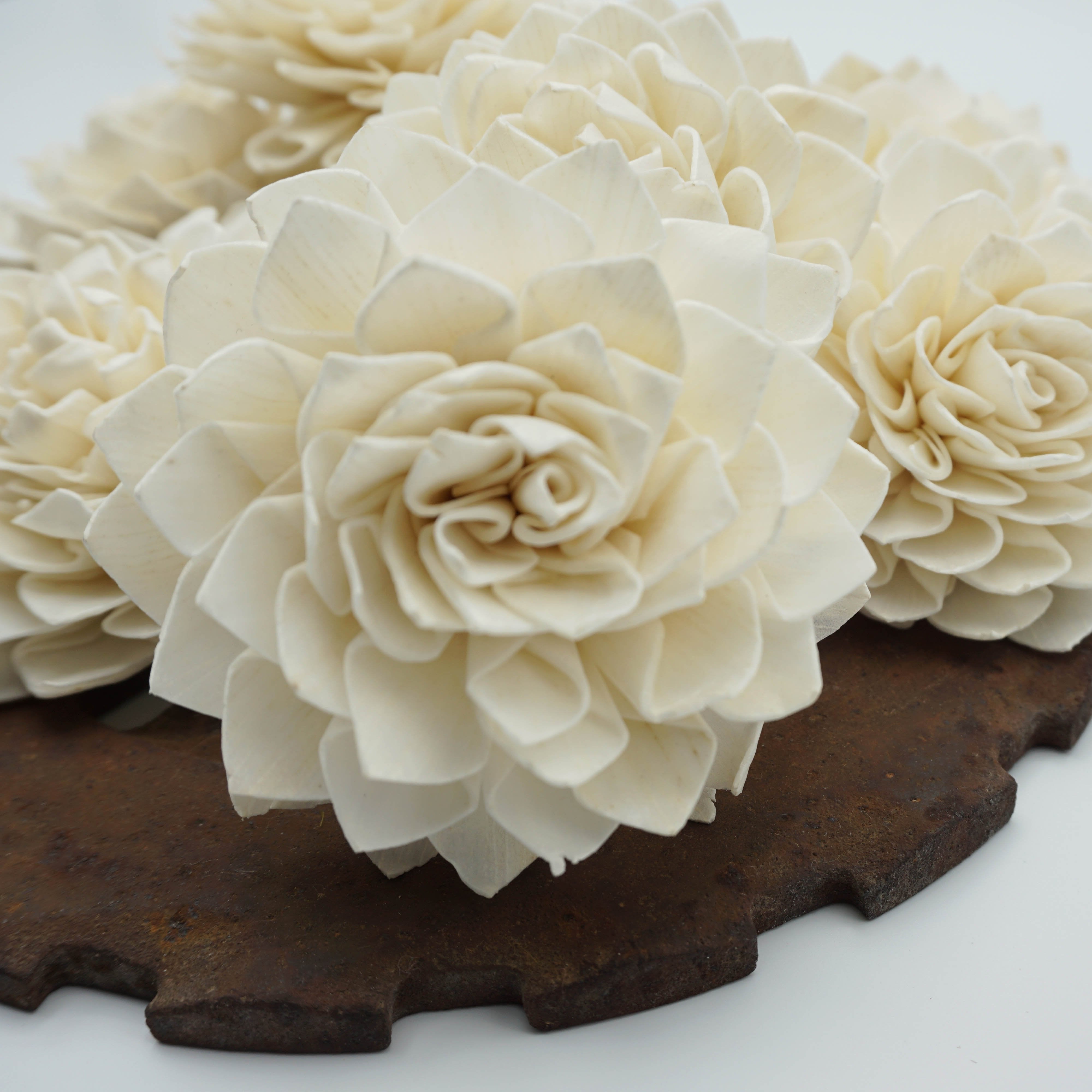 Miss Ivy™- set of 12 - 3 inches _sola_wood_flowers