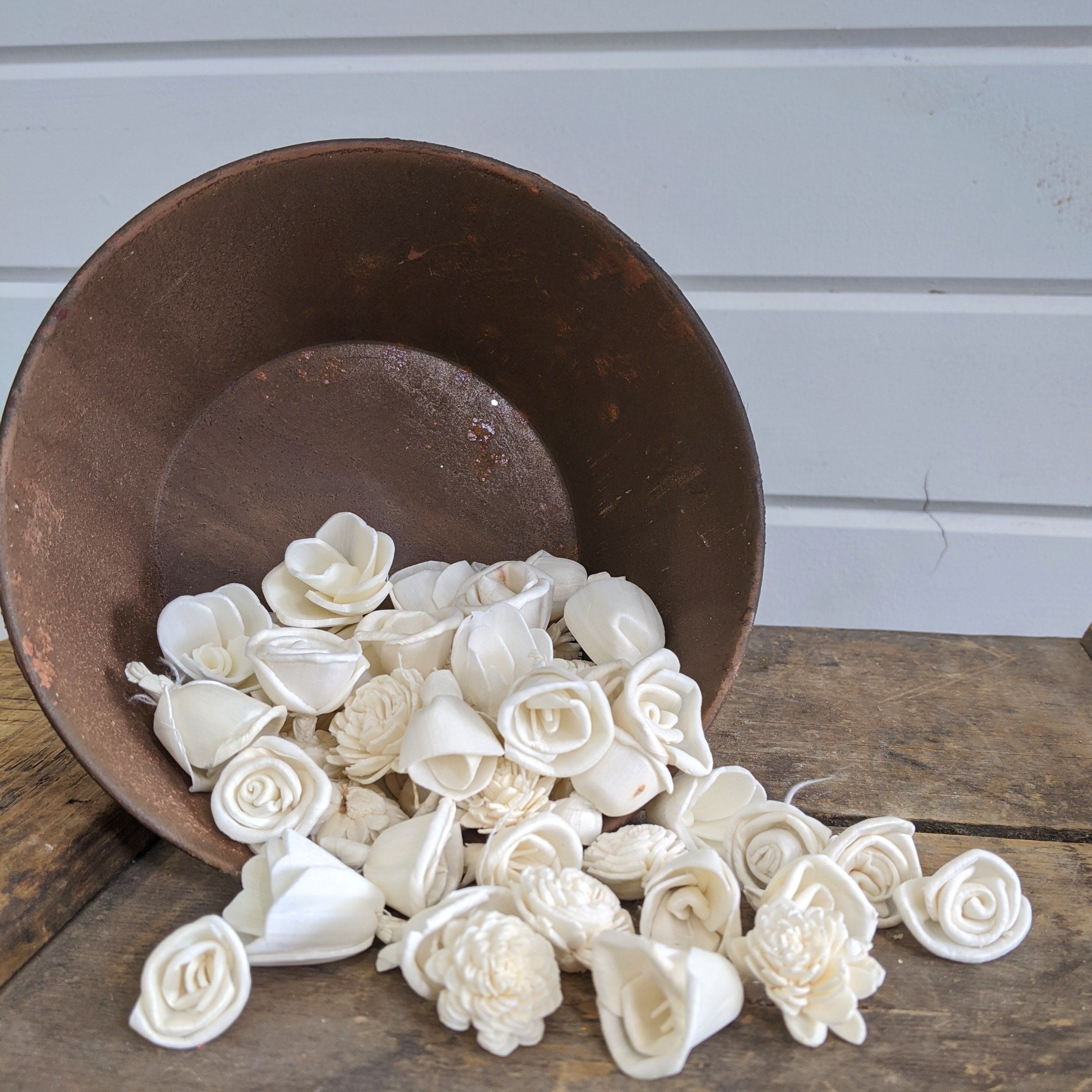 Munchkin Assortment™ set of 50 _sola_wood_flowers