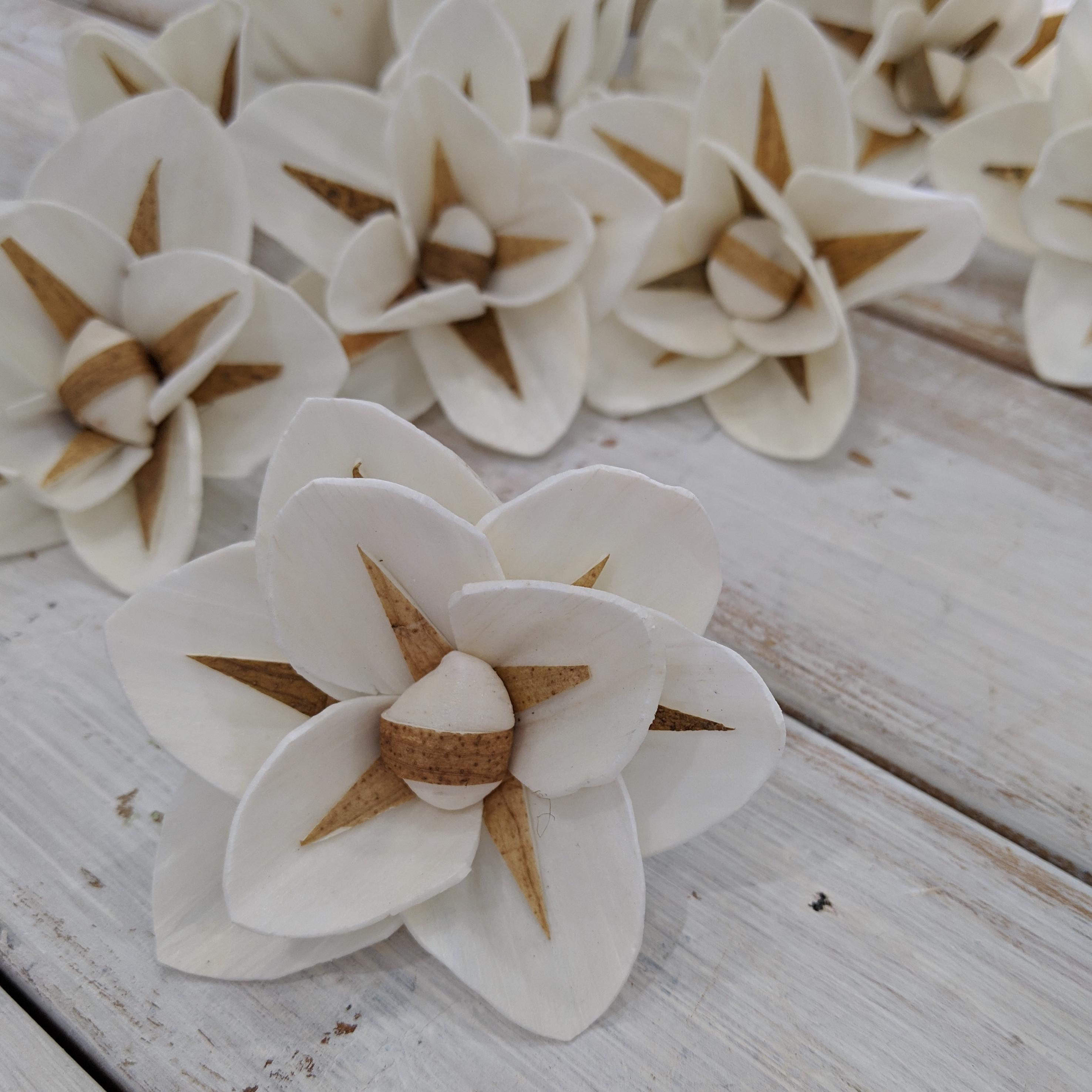 North Star™- set of 12-  2.5 inches _sola_wood_flowers