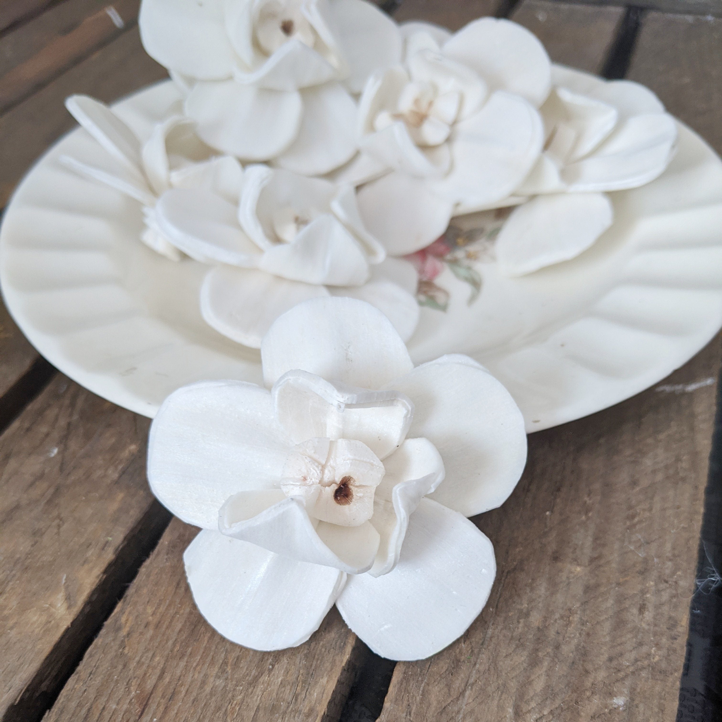 Orchid - set of 12 - 2.5 inches _sola_wood_flowers