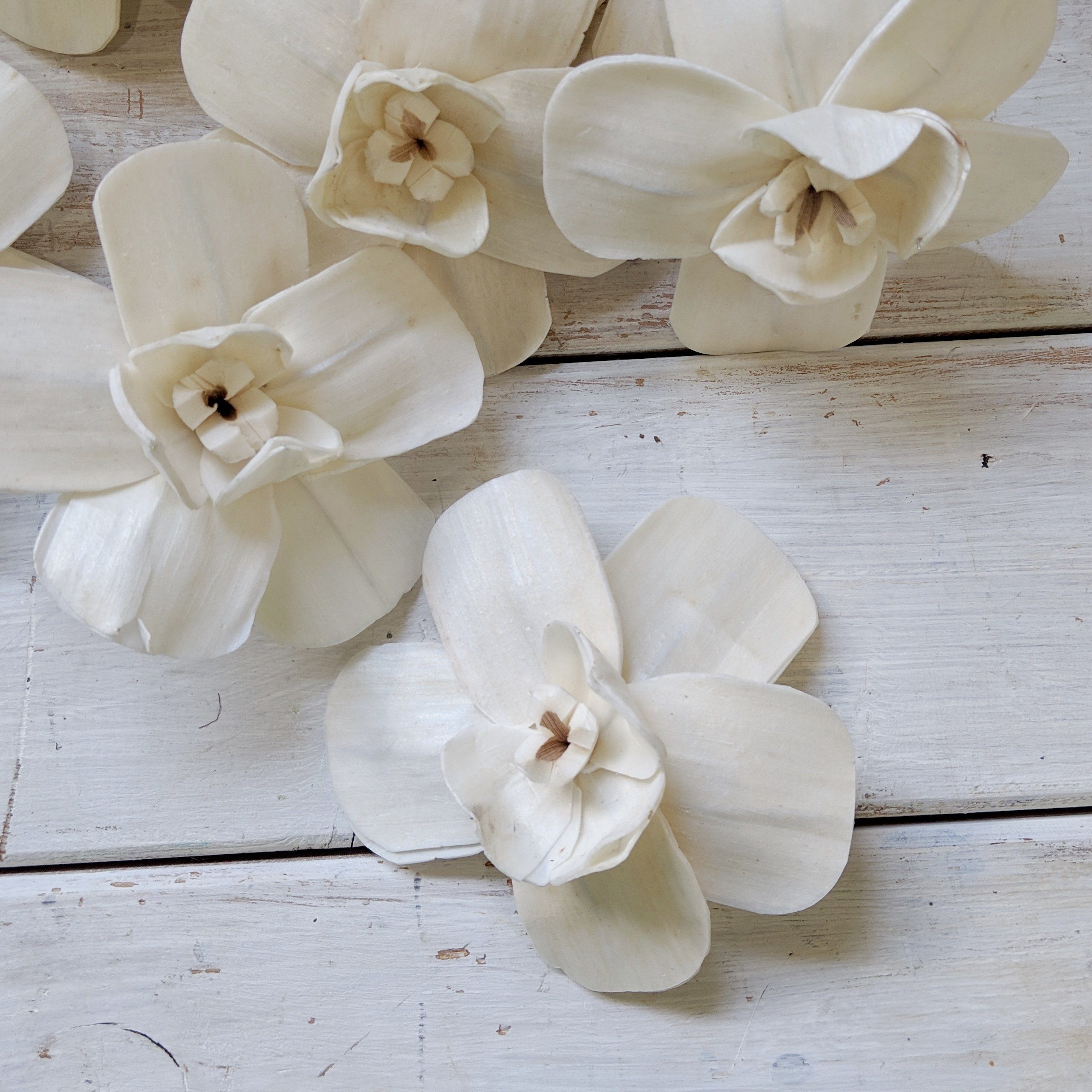 Orchid - set of 12 - 3 inches _sola_wood_flowers