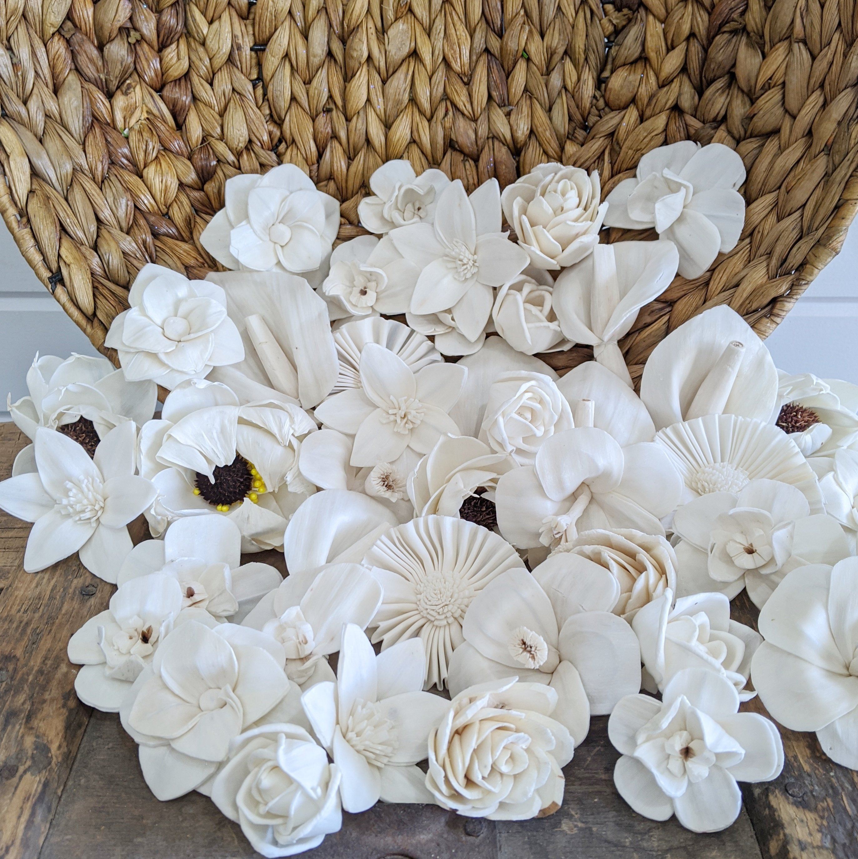 Tropical Assortment - set of 50 _sola_wood_flowers