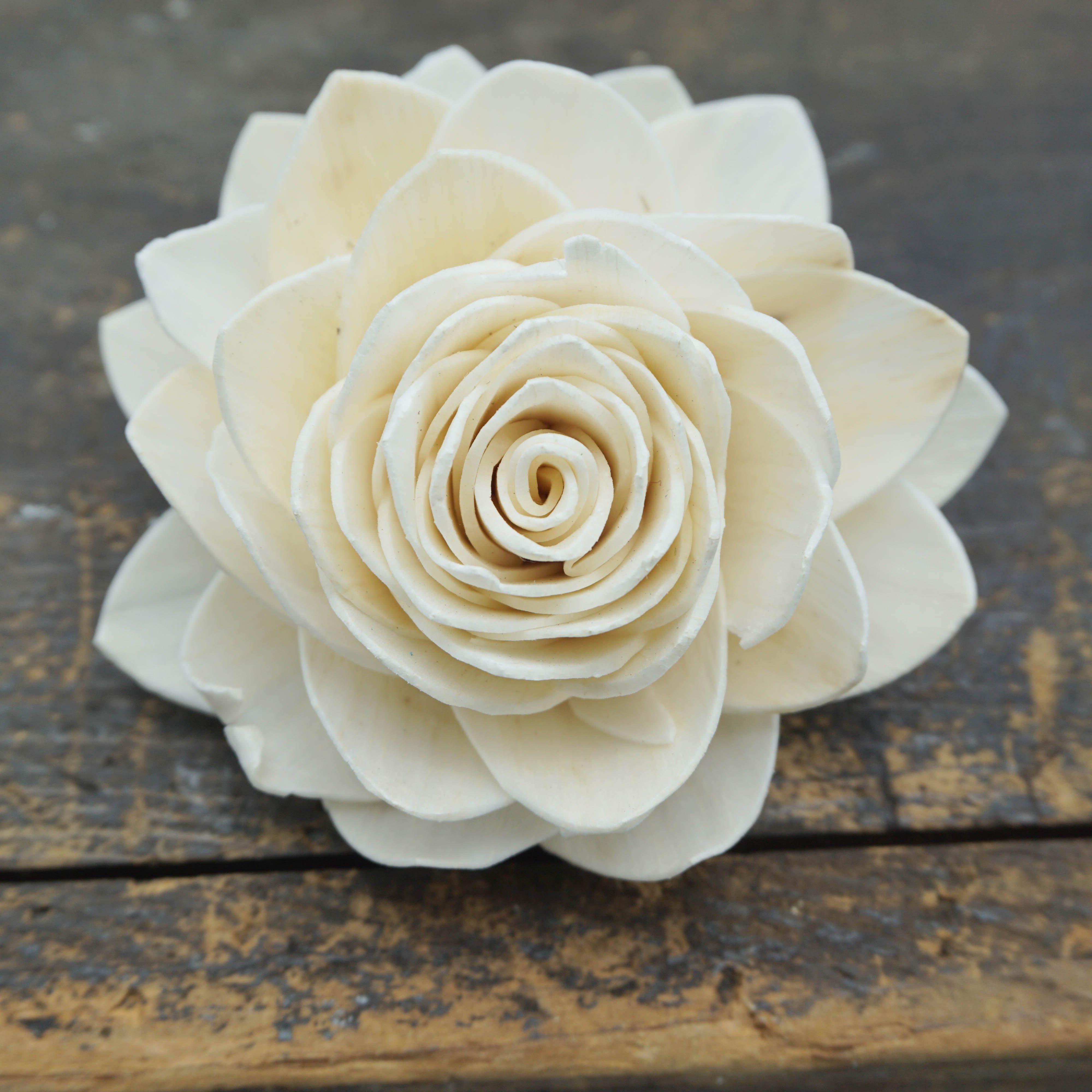 Waterlily - set of 12- 1.5 inches _sola_wood_flowers