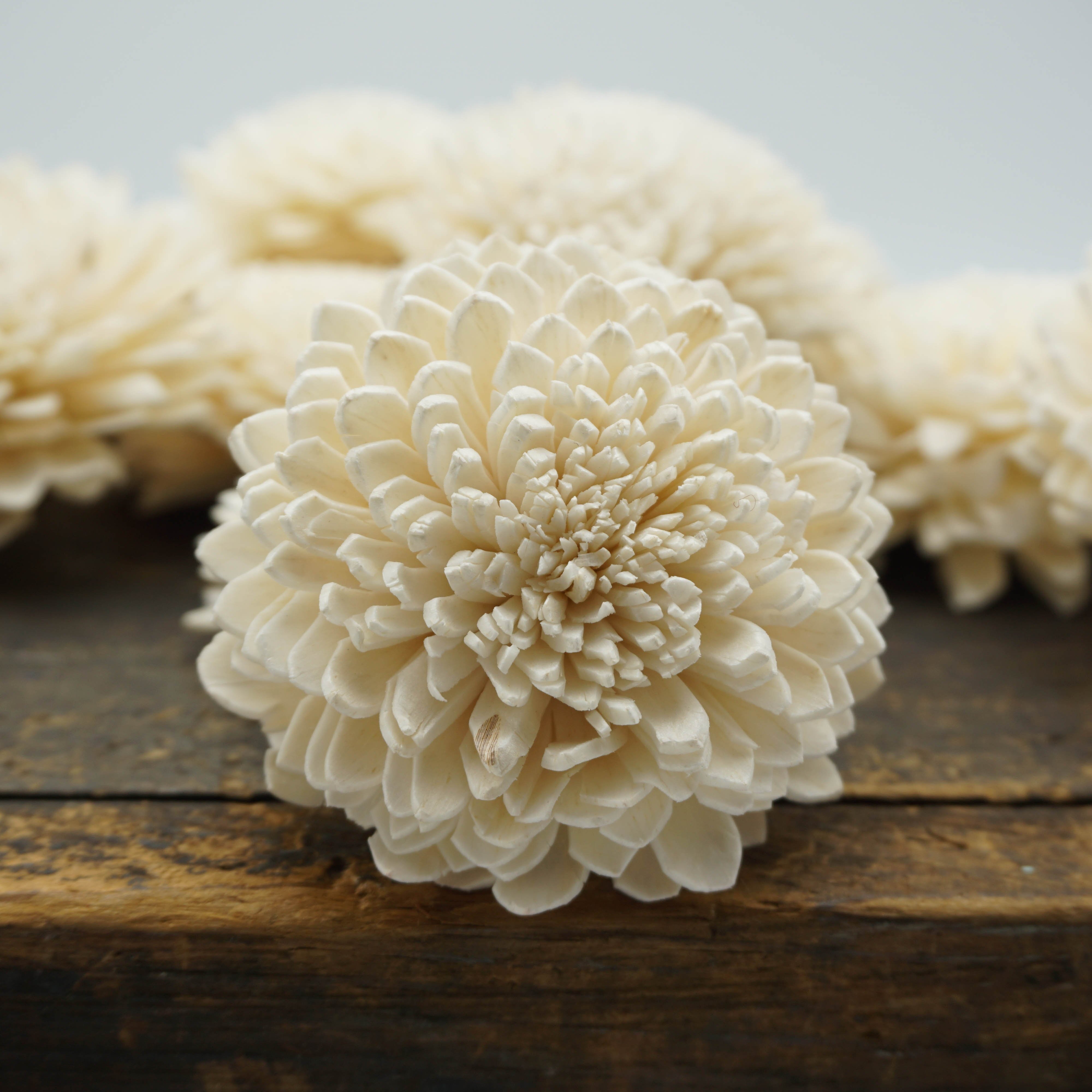 Zinny™- set of 12- 2.5 inches _sola_wood_flowers