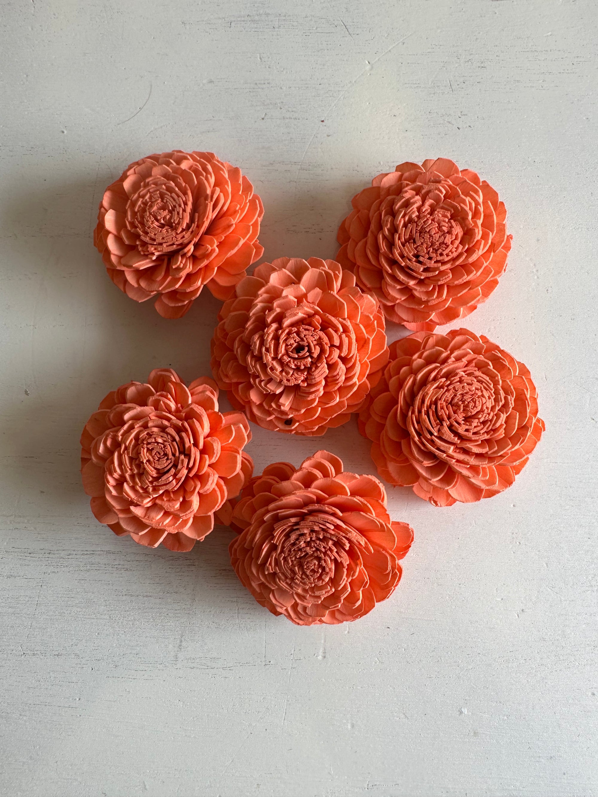 Pre-dyed Marigold Flower - set of 6 - Coral