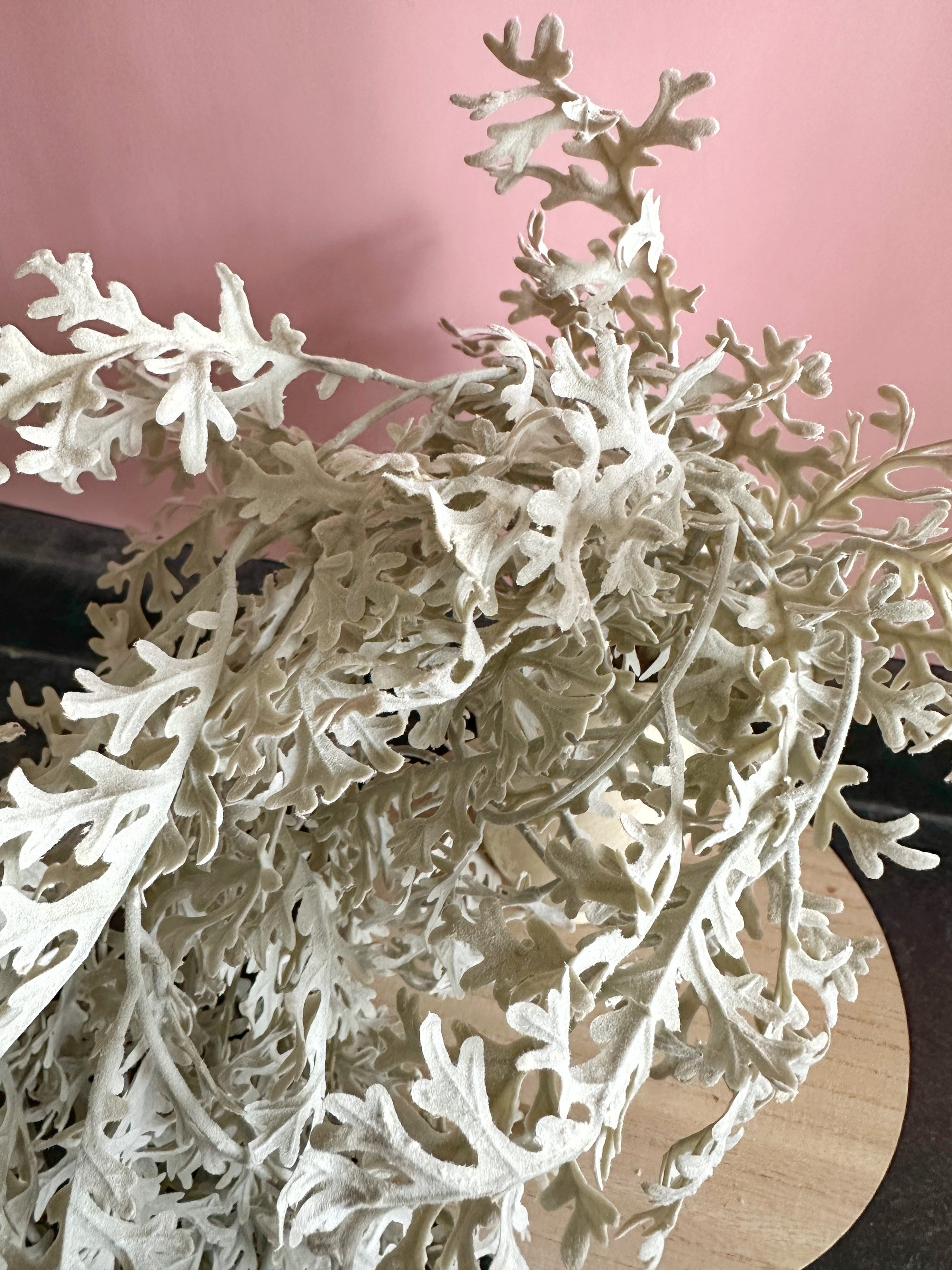 Dusty Miller Lacey Leaf Sage | Artificial Hanging Greenery