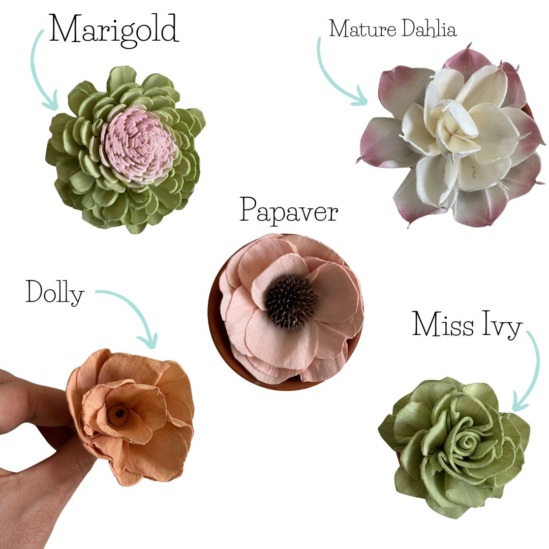 Blooming Succulents- dyed sola wood flower assortment