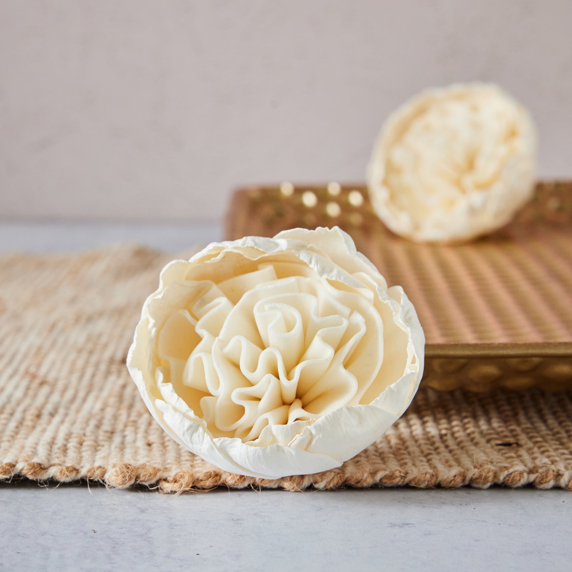Cottage Rose- 2.5 inches- Set of 12