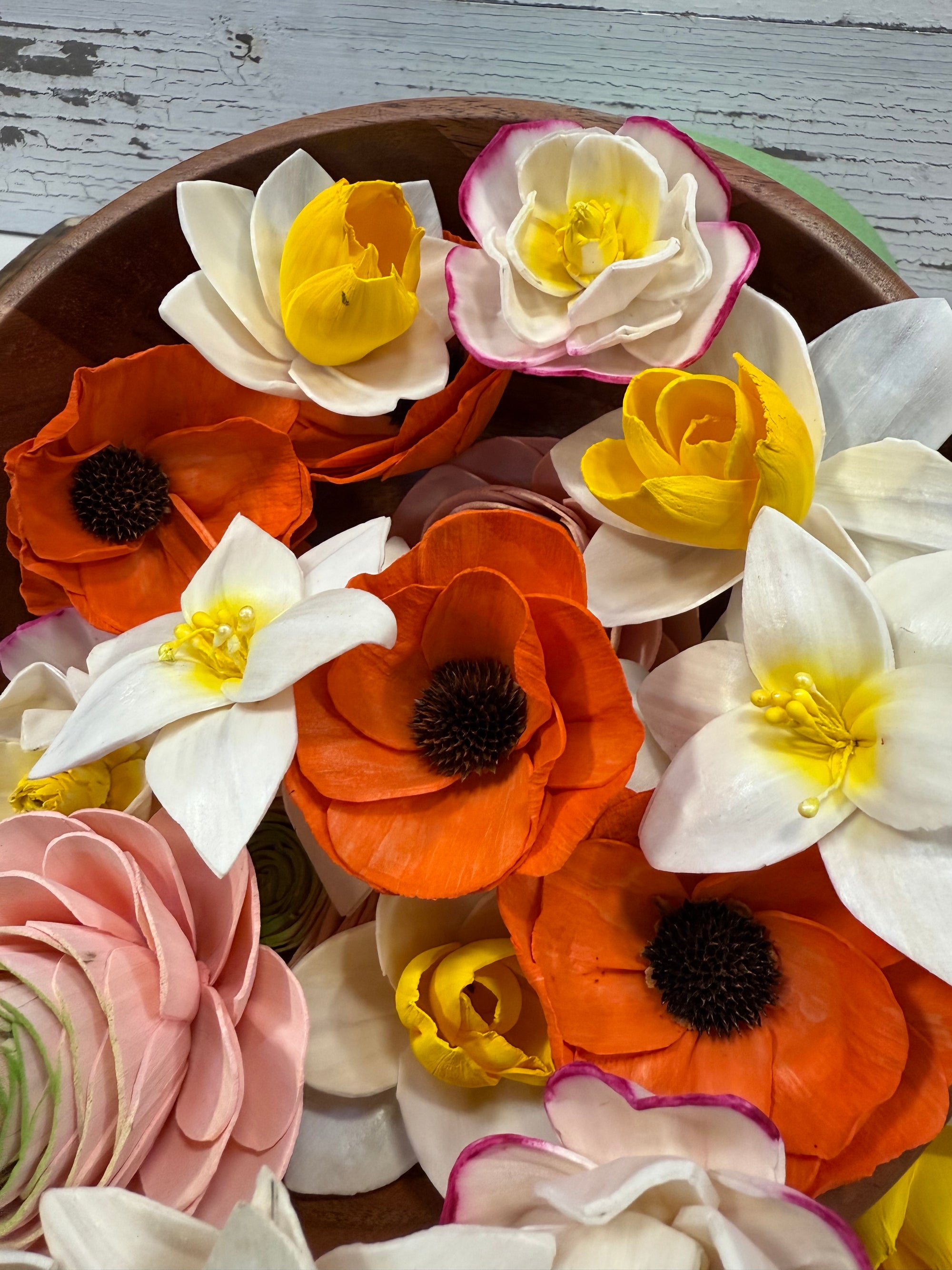 Spring Blooming- dyed sola wood flower assortment