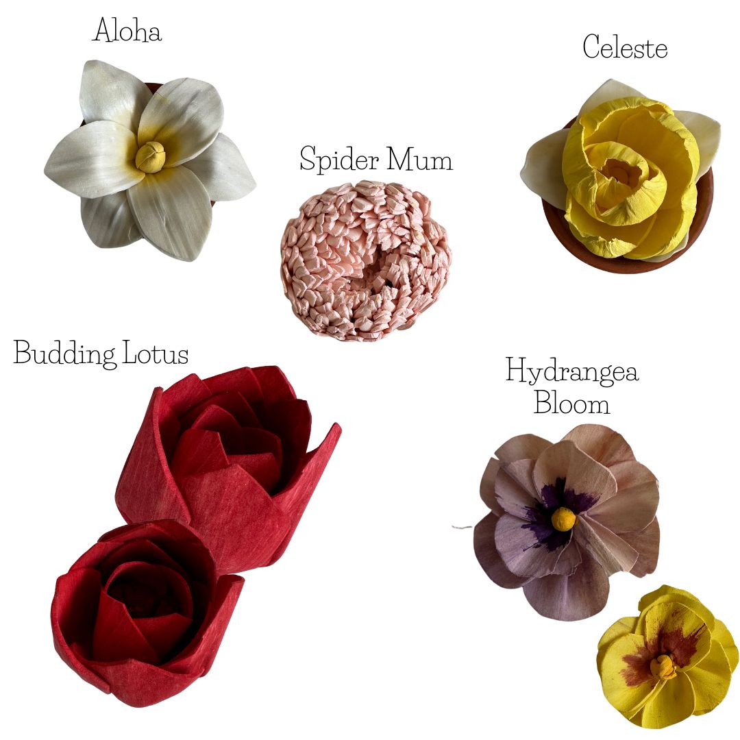 First Blooms | dyed sola wood flower assortment