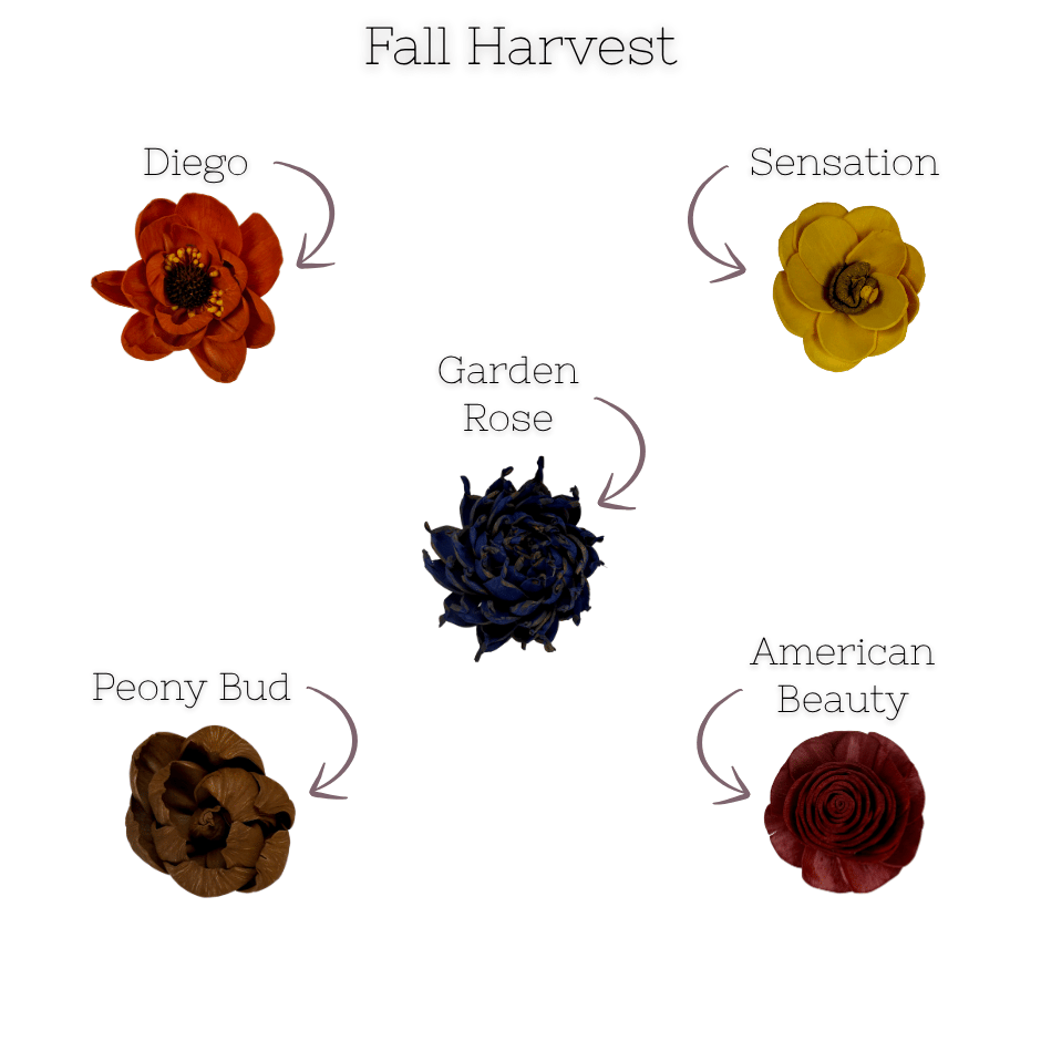Fall Harvest - dyed sola wood flower assortment