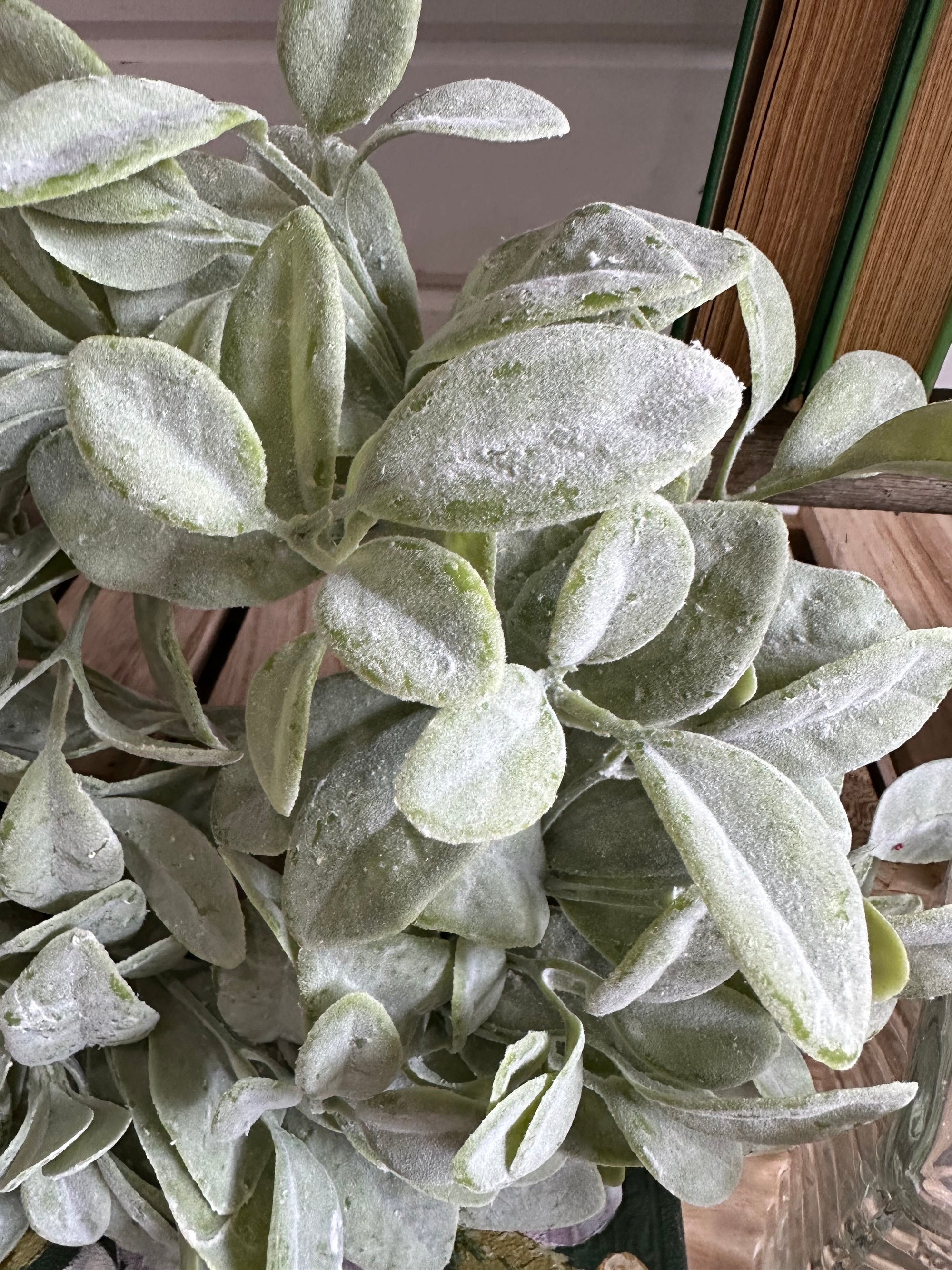 Flocked Lambs Ear Leaves- Mini Wreath