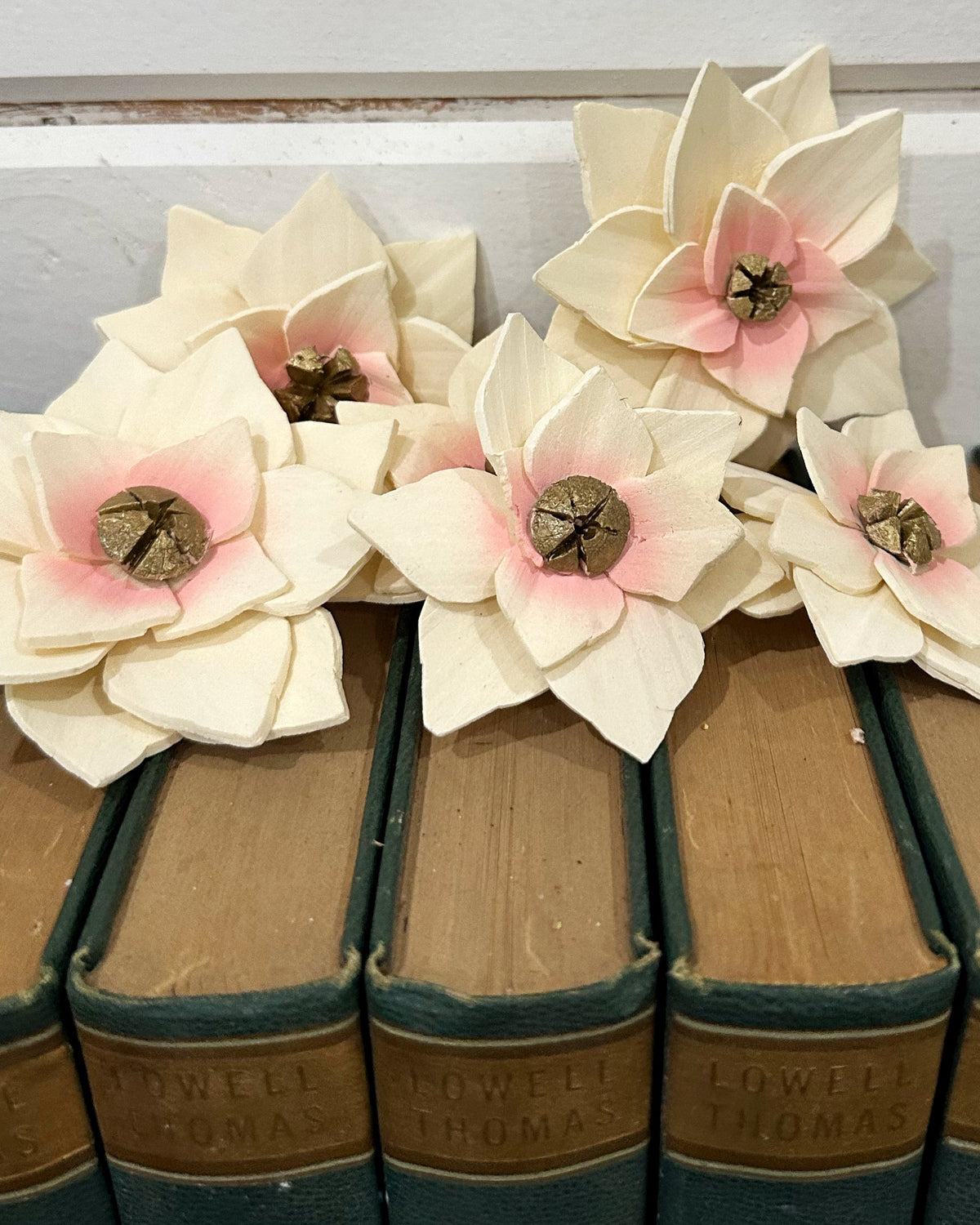 Set of books with floral decorations on a white background