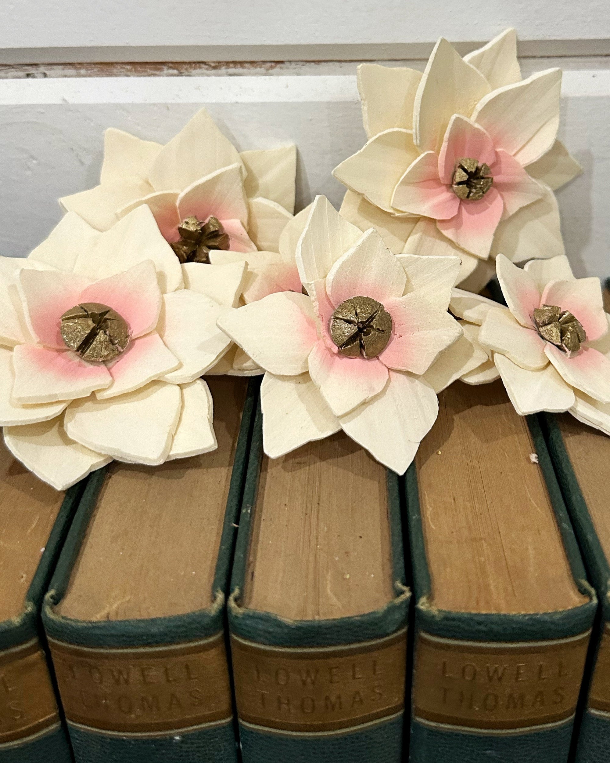 Set of books with floral decorations on a white background