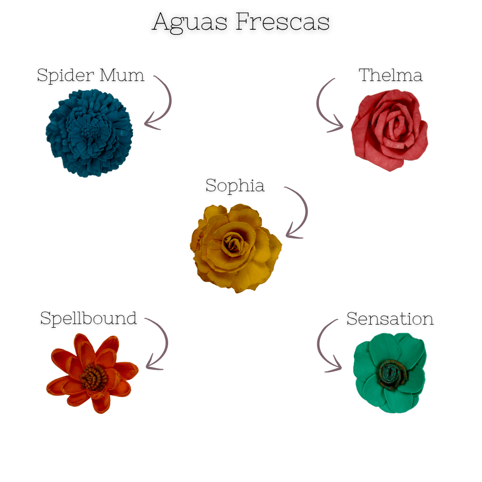 Agua Frescas - dyed sola wood flower assortment