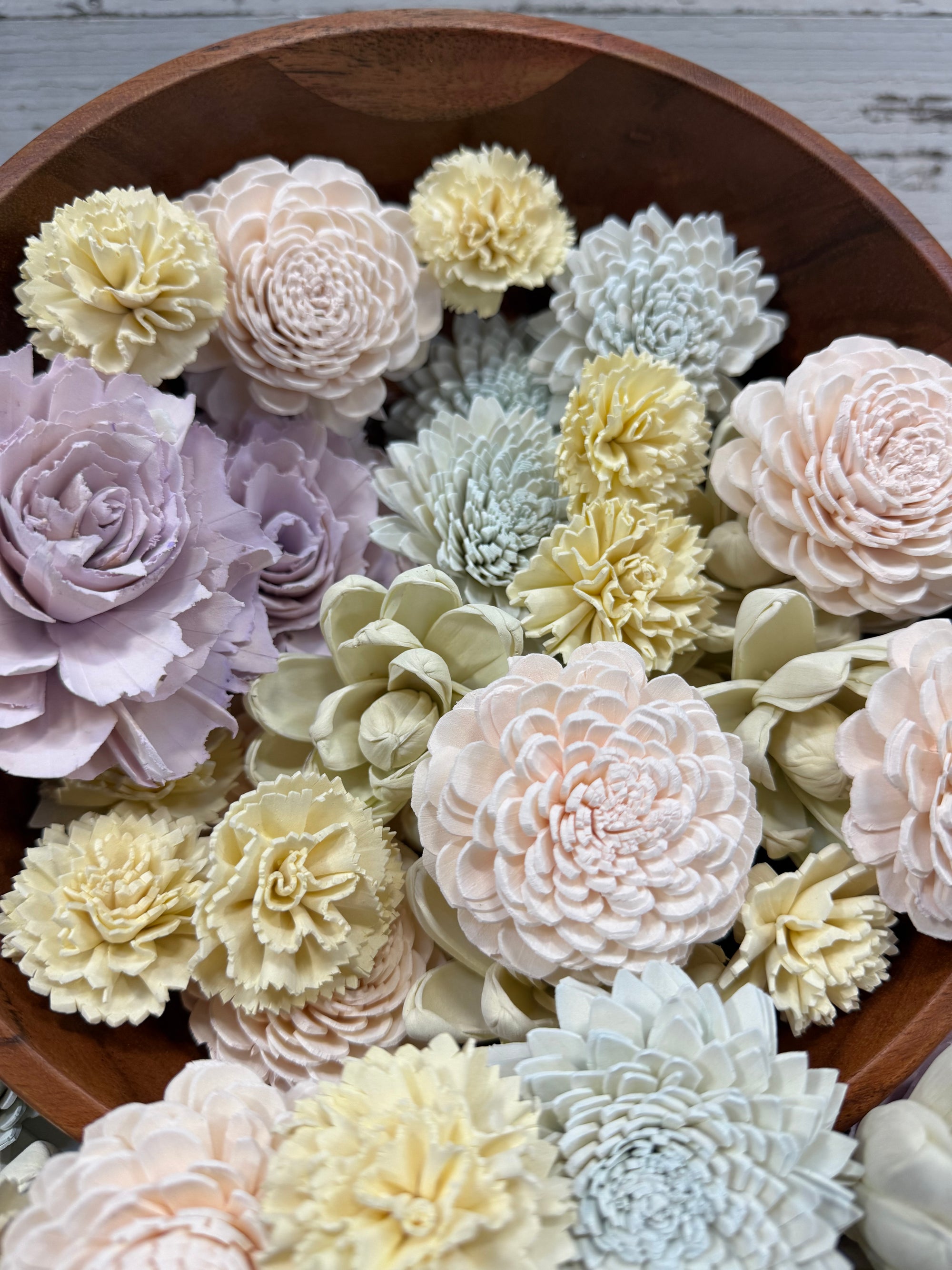 Fairy Godmother - Dyed Sola Wood Flower Assortment