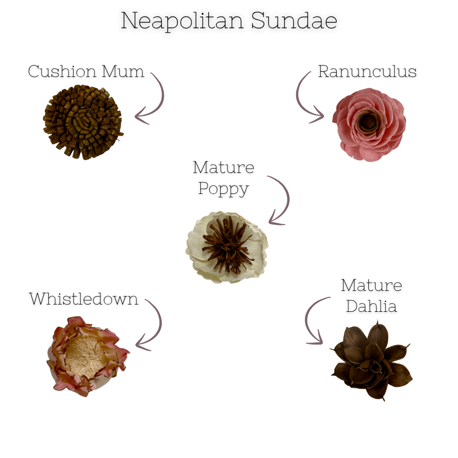 Neapolitan Sundae - Dyed Sola Wood Flower Assortment