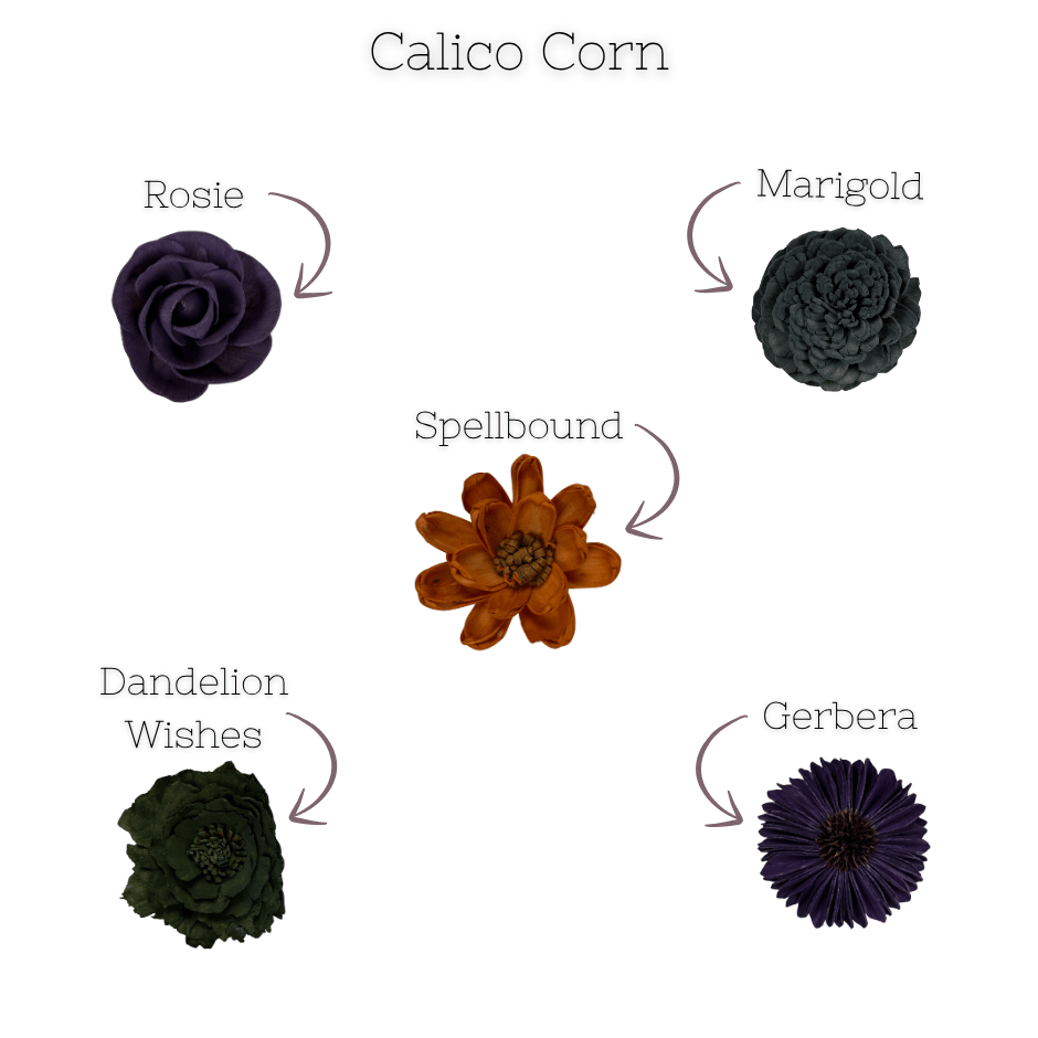 Calico Corn - dyed sola wood flower assortment