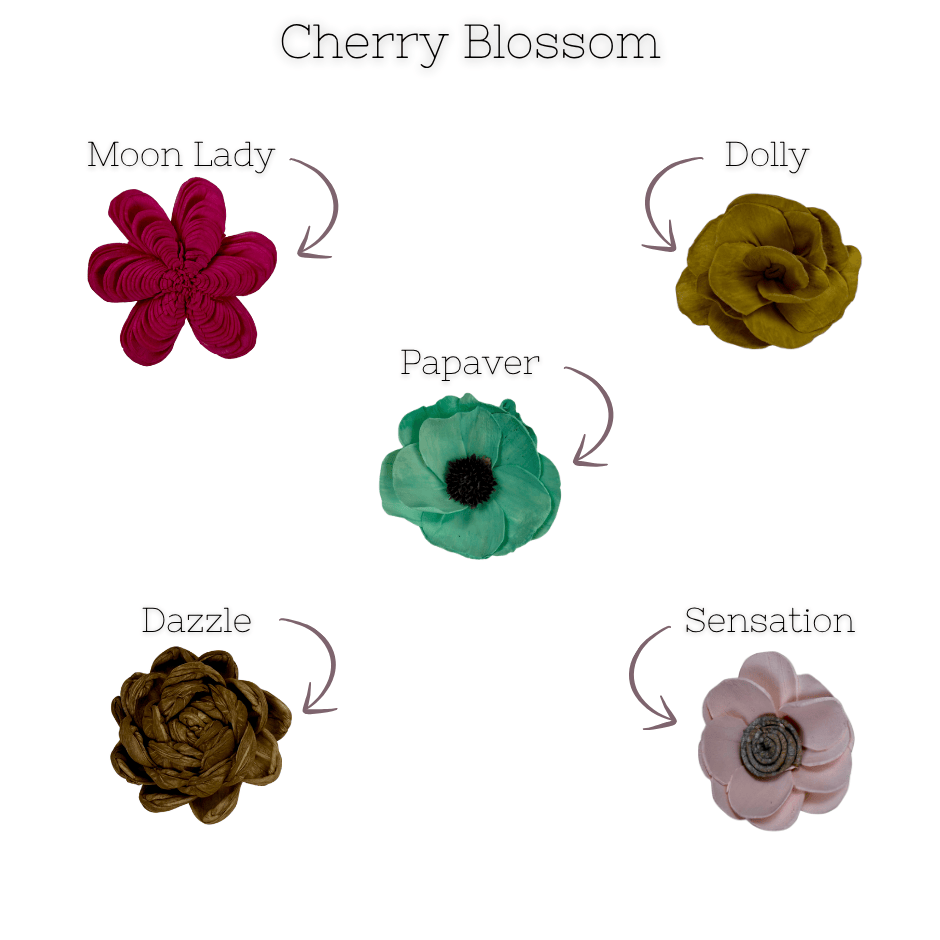 Cherry Blossom - dyed sola wood flower assortment