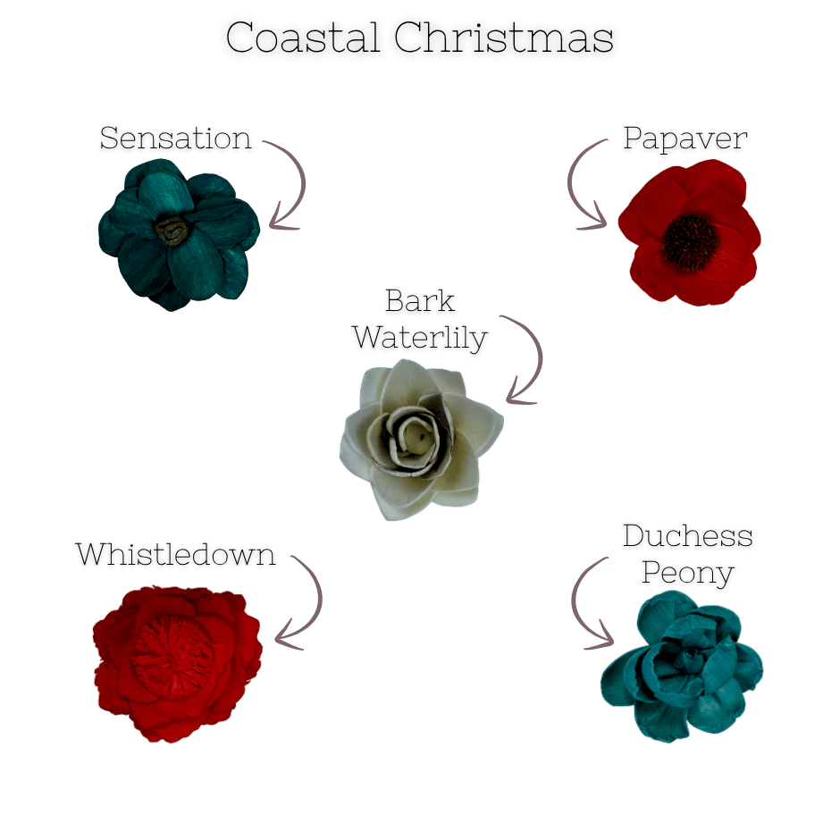 Coastal Christmas - - dyed sola wood flower assortment