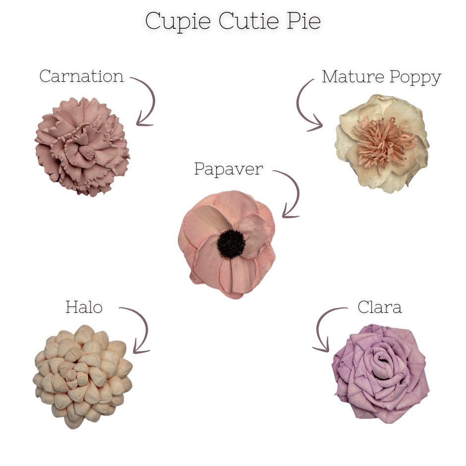Cupie Cutie Pie - dyed sola wood flower assortment
