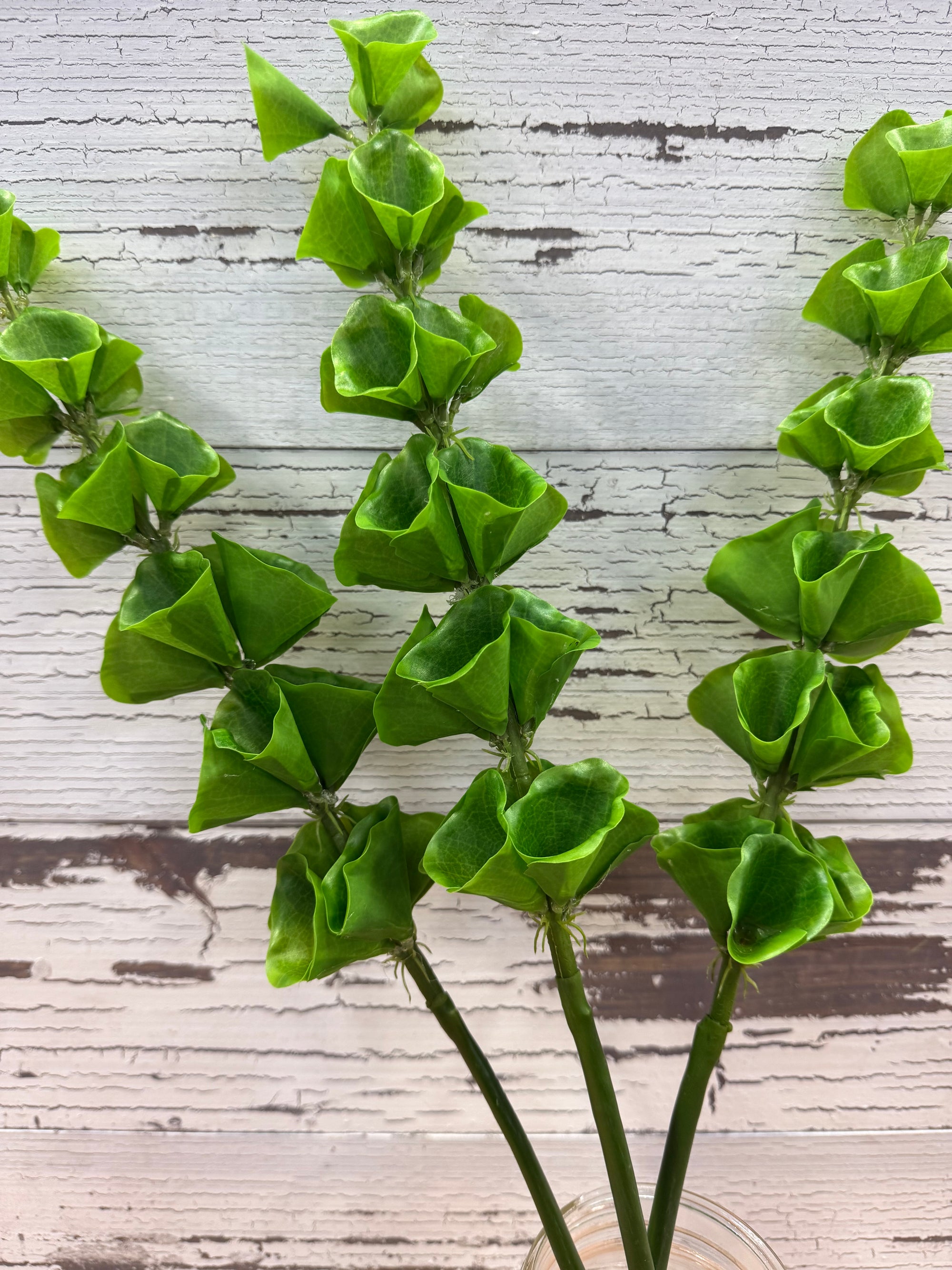 Bells of Ireland - Faux Greenery Single Stem
