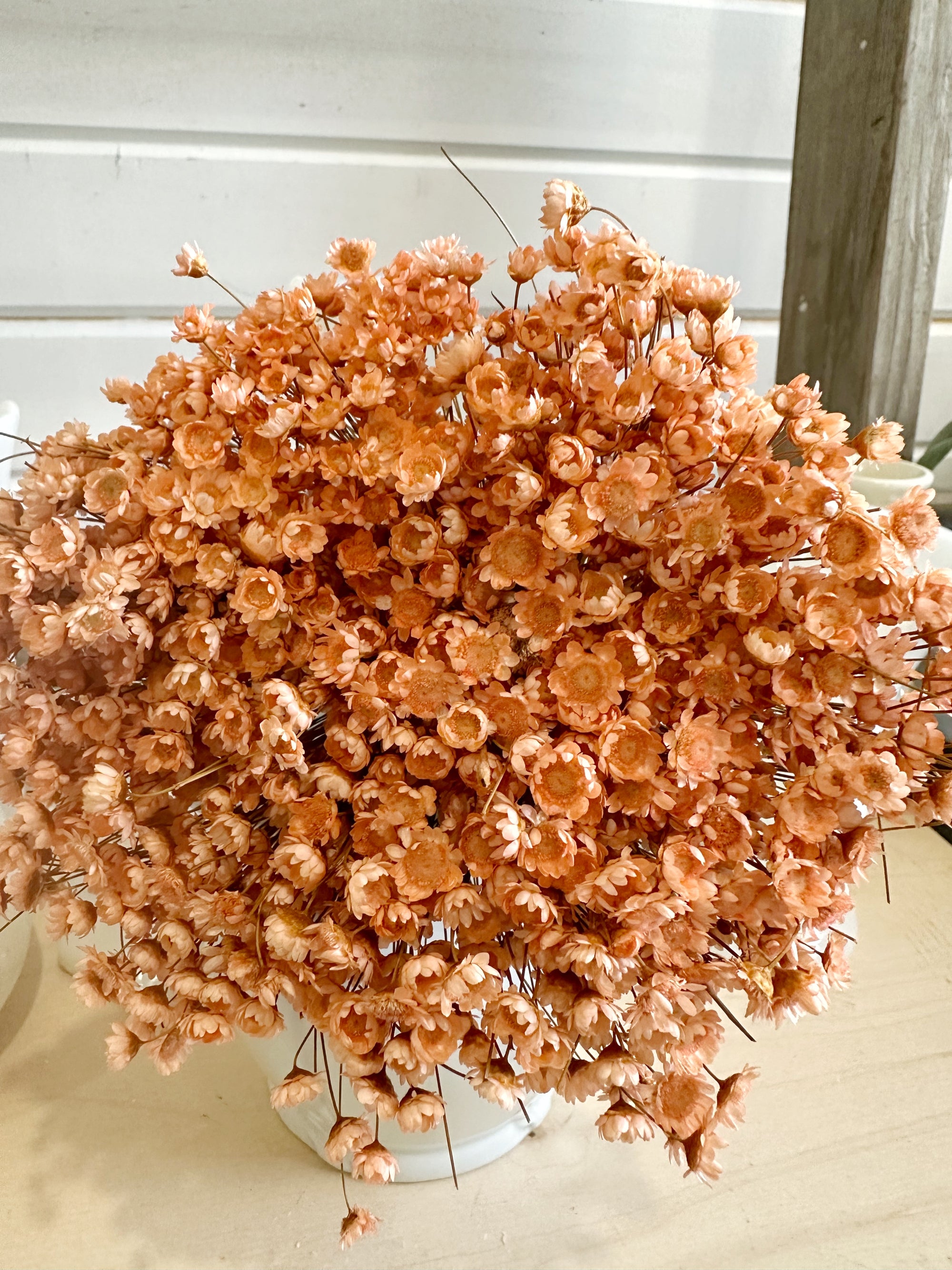 Dried Star Filler Flower - Peach