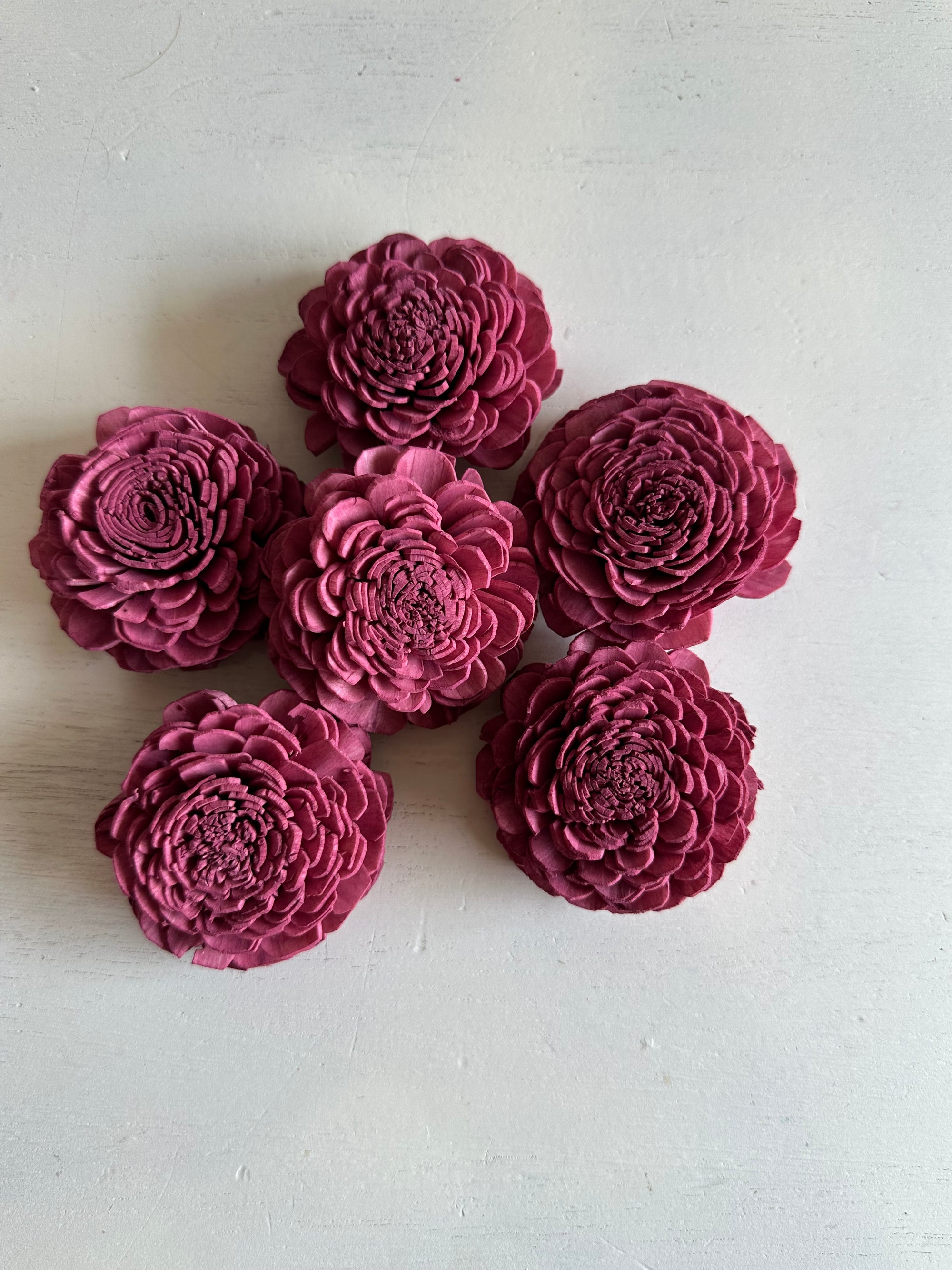 Pre-dyed Marigold Flower - set of 6 - Merlot