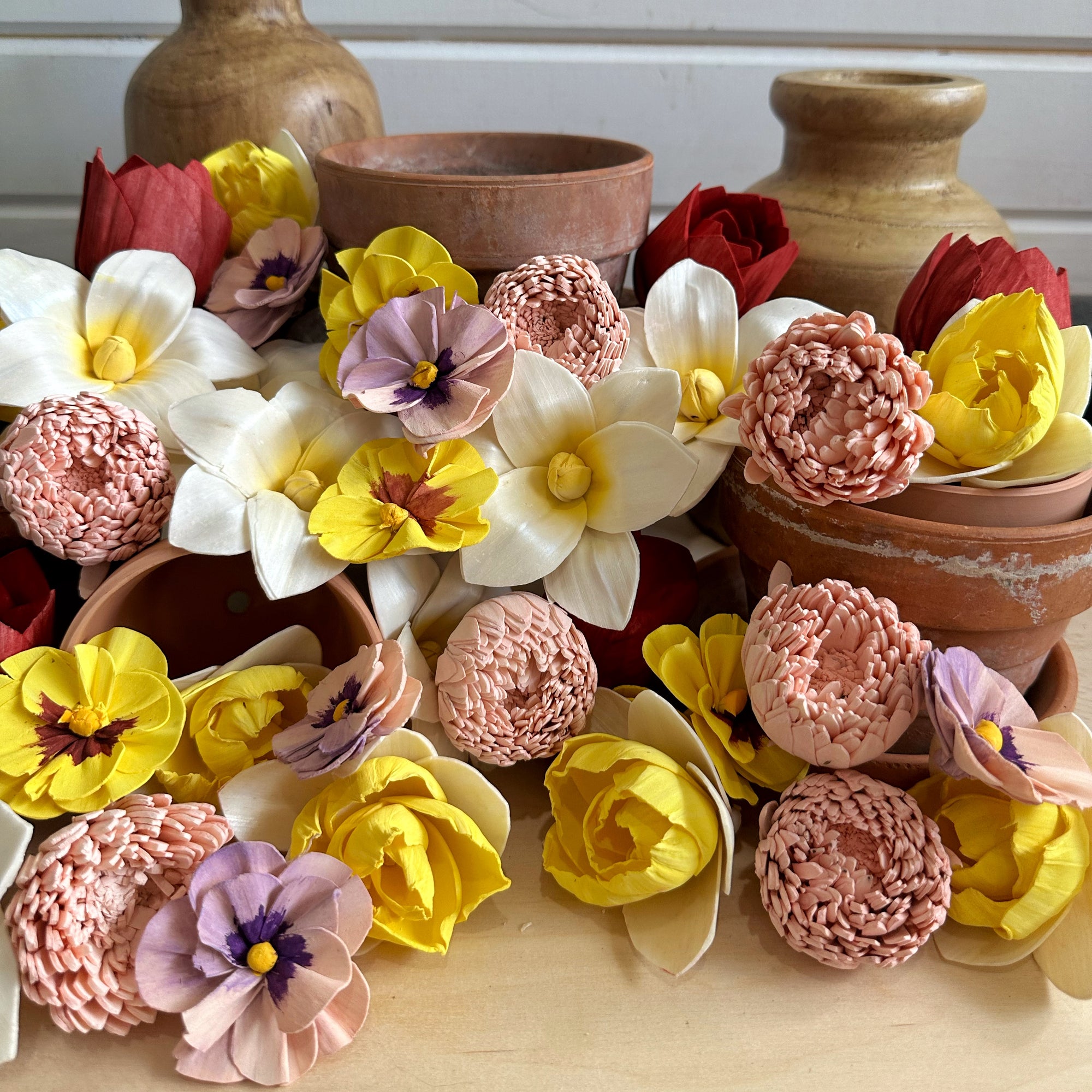 First Blooms | dyed sola wood flower assortment