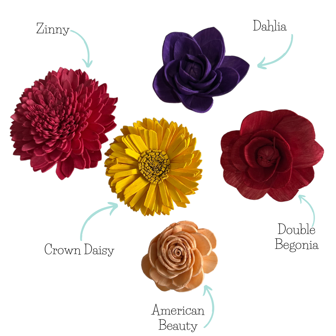 Fruit Tart - dyed sola wood flower assortment