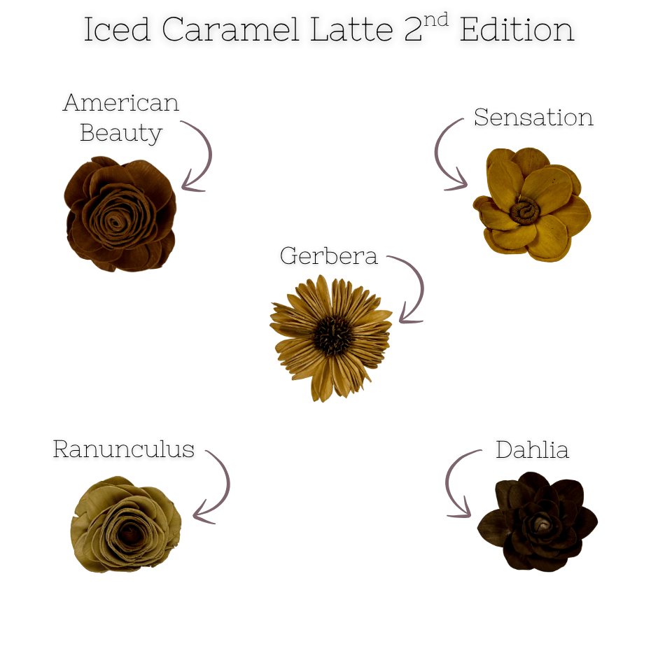 Iced Caramel Latte 2nd edition  - dyed sola wood flower assortment